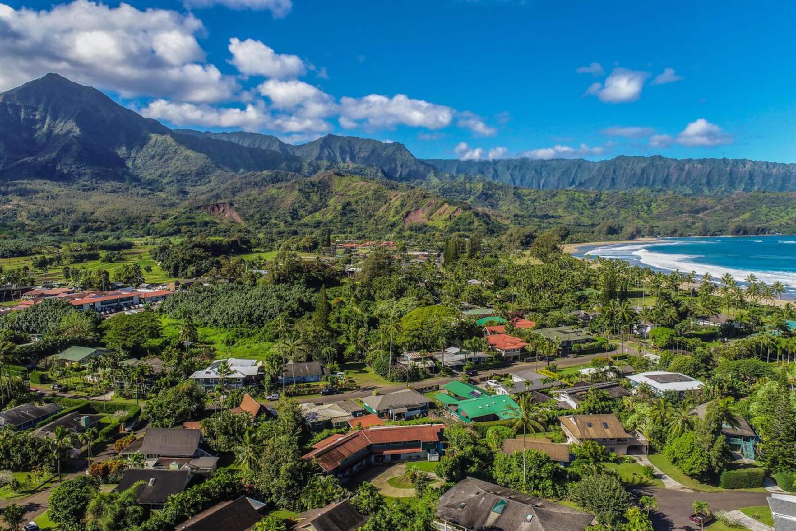 Home in Hanalei · ★4.29 · 2 bedrooms · 4 beds · 2 baths - Image 44