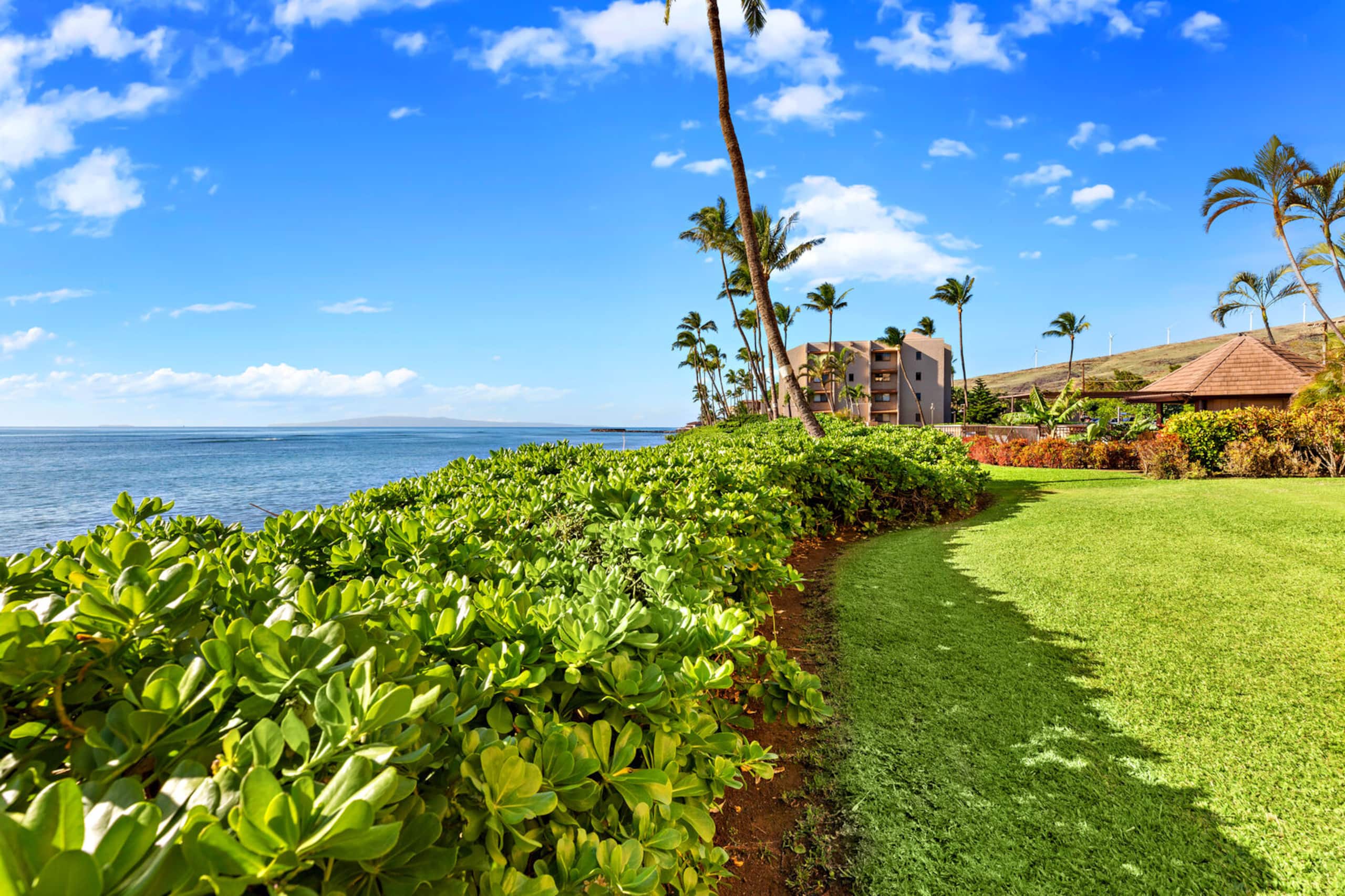 Condo in Wailuku · ★4.73 · 1 bedroom · 2 beds · 1 bath - Image 34
