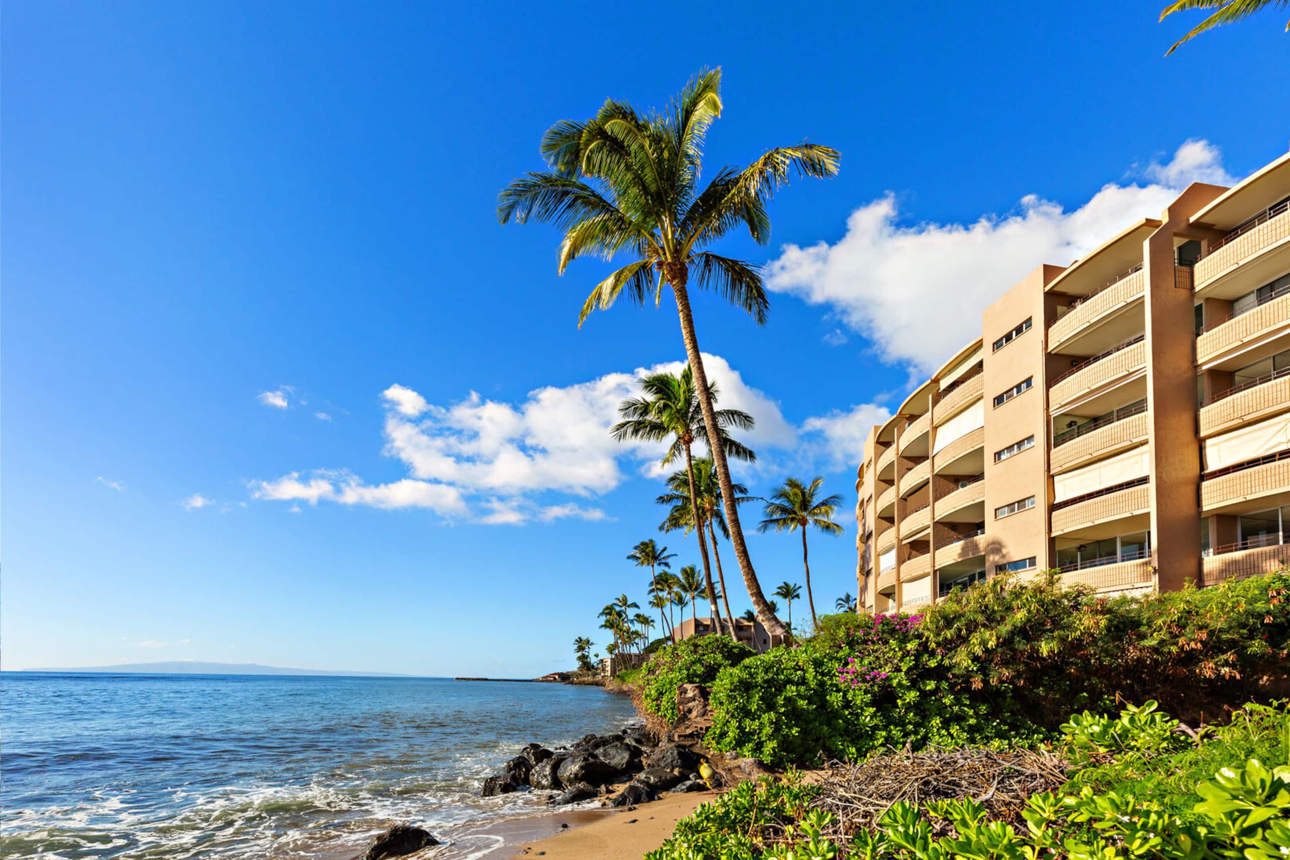 Condo in Wailuku · ★4.73 · 1 bedroom · 2 beds · 1 bath - Image 33