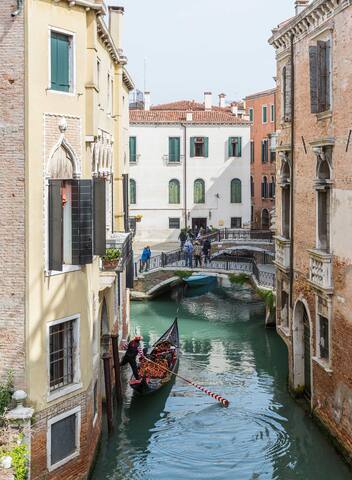 Da Vinci gallery image 5