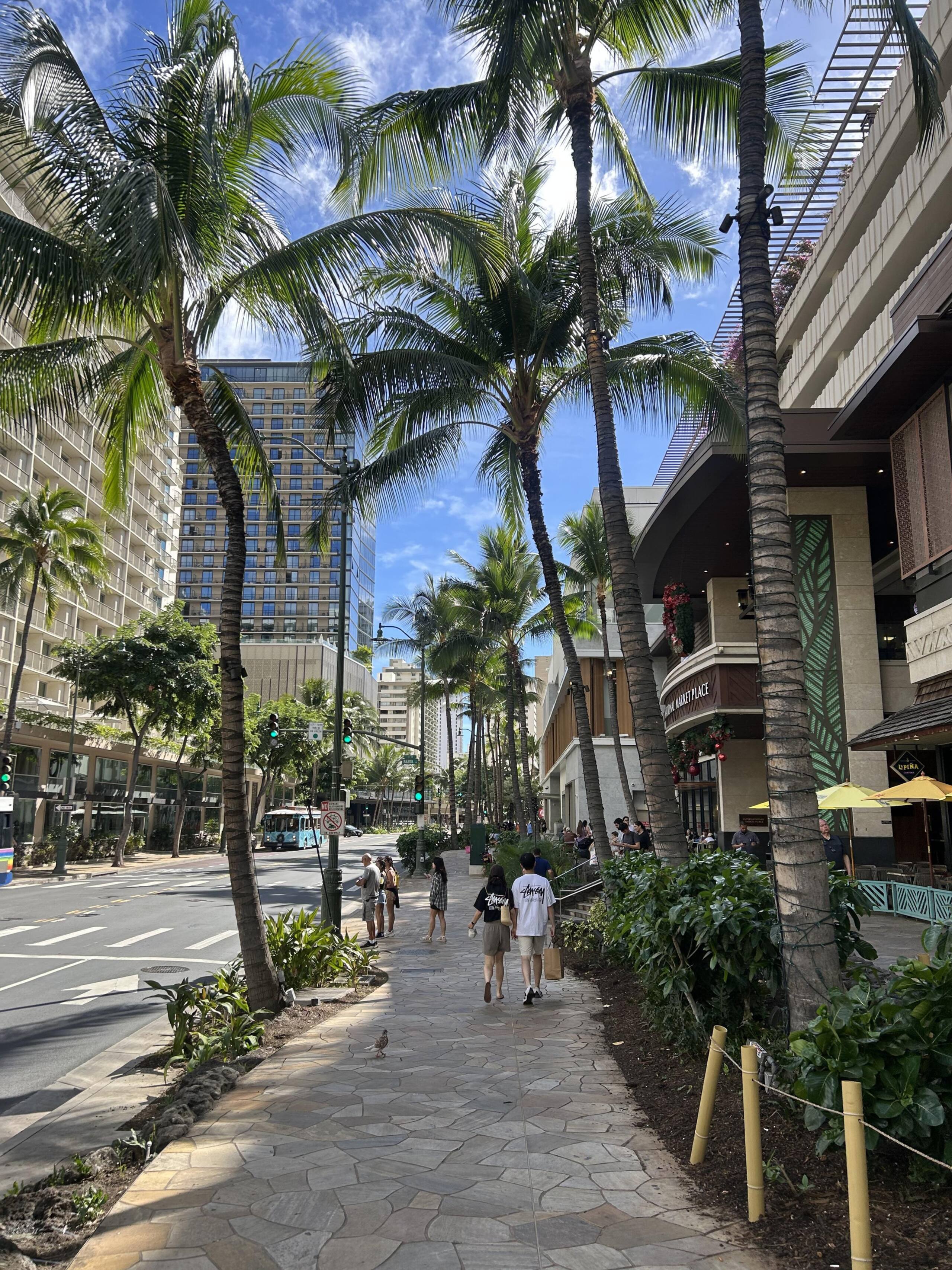 Condo in Honolulu · ★4.31 · 1 bedroom · 2 beds · 1 shared bath - Image 34