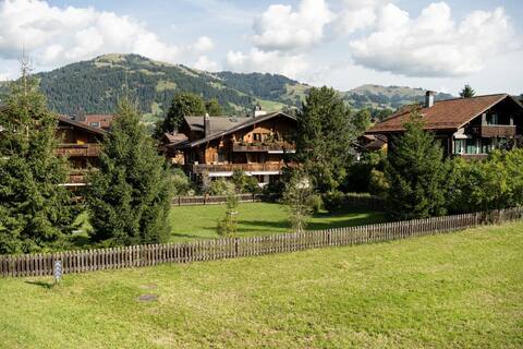 Charming Alpine Apartment Gstaad