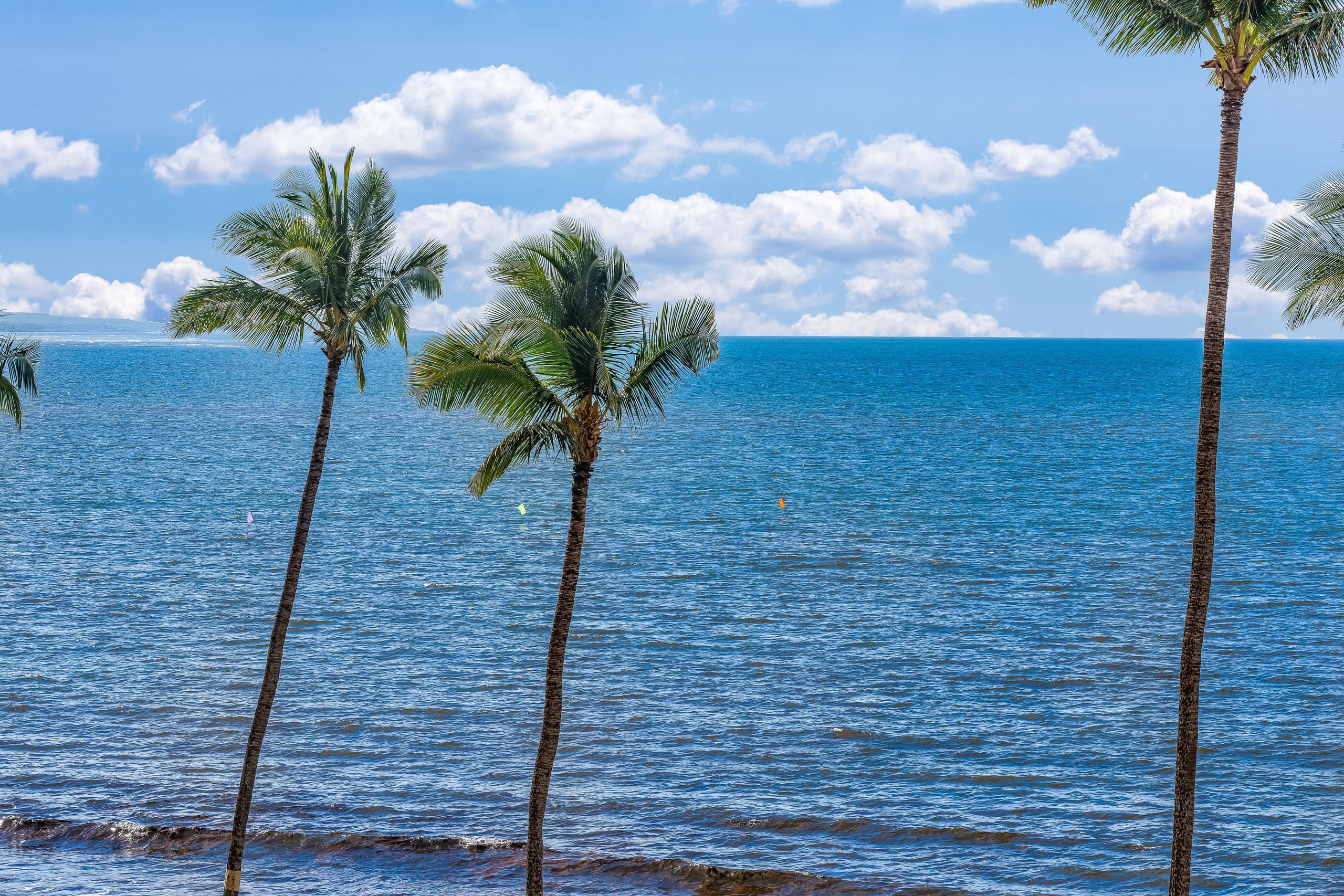 Condo in Kihei · ★5.0 · 1 bedroom · 2 beds · 1 private bath - Image 31