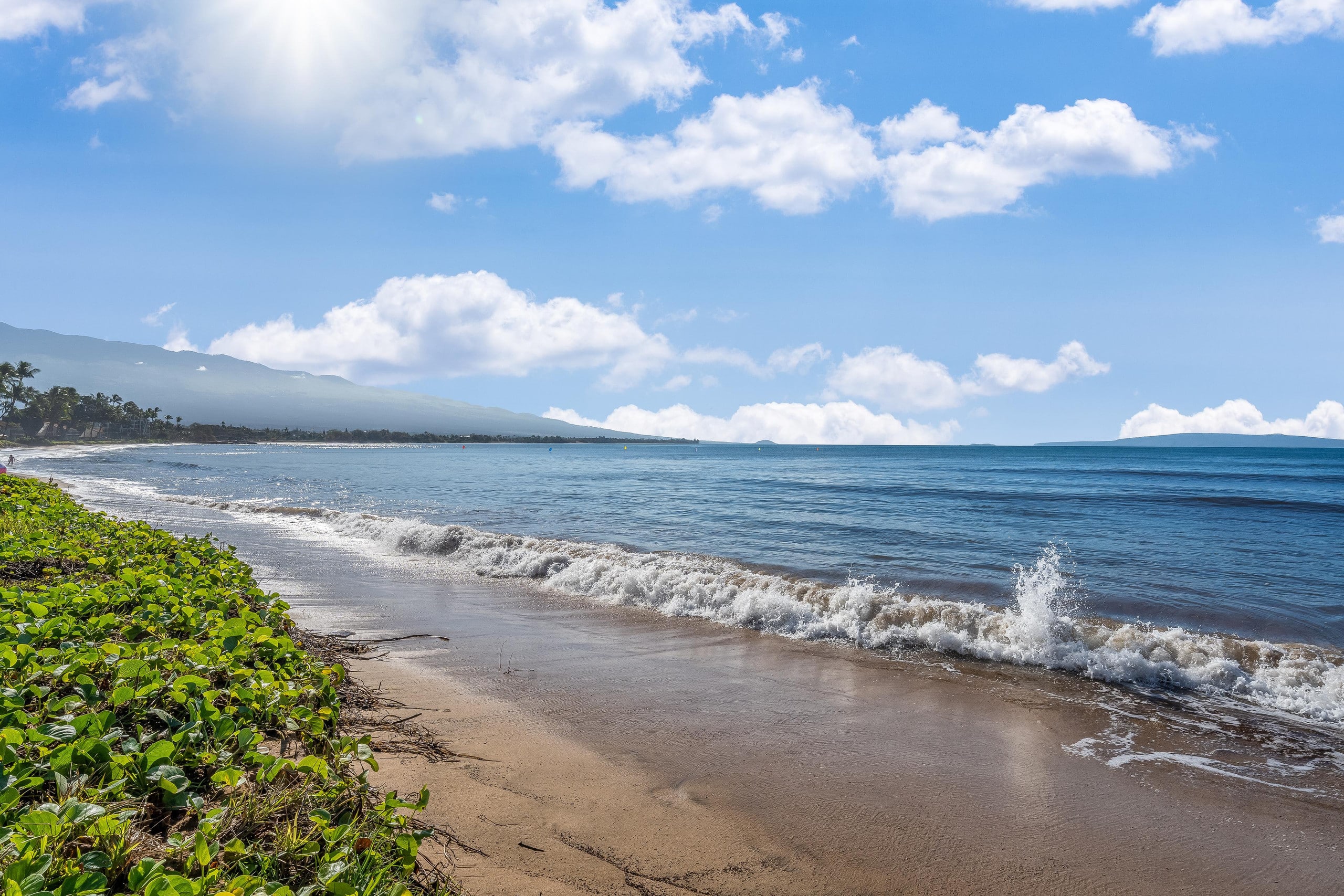 Condo in Kihei · ★5.0 · 1 bedroom · 2 beds · 1 private bath - Image 51