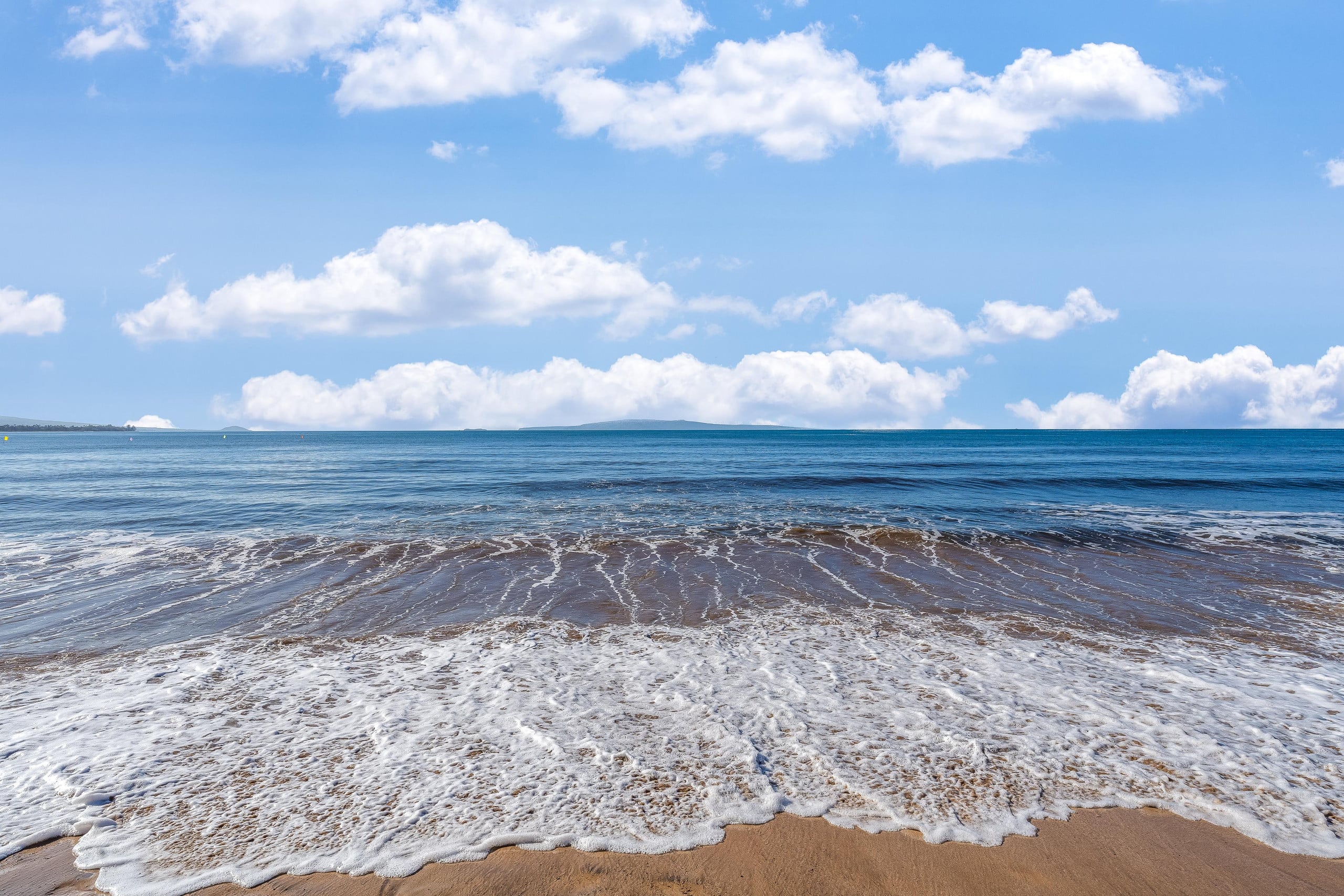 Condo in Kihei · ★5.0 · 1 bedroom · 2 beds · 1 private bath - Image 50