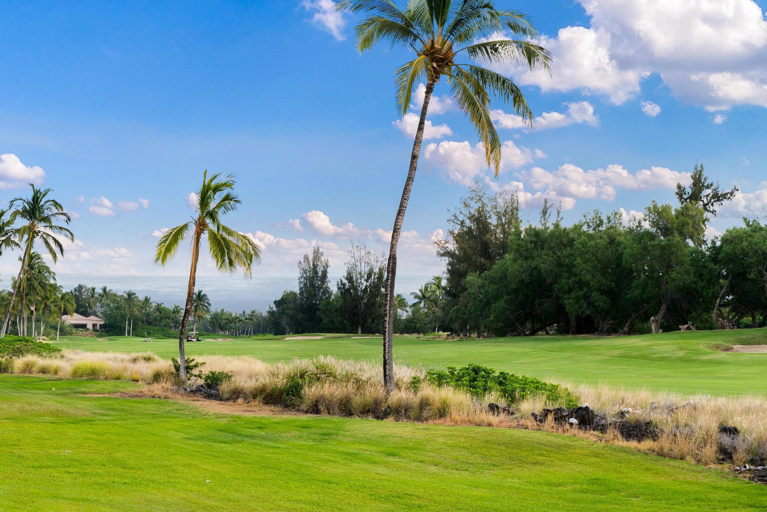 505 Waikoloa Colony Villas. Luxurious. Relaxing. - Photo 50