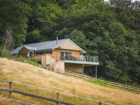 red Kite Lodge - uk32610