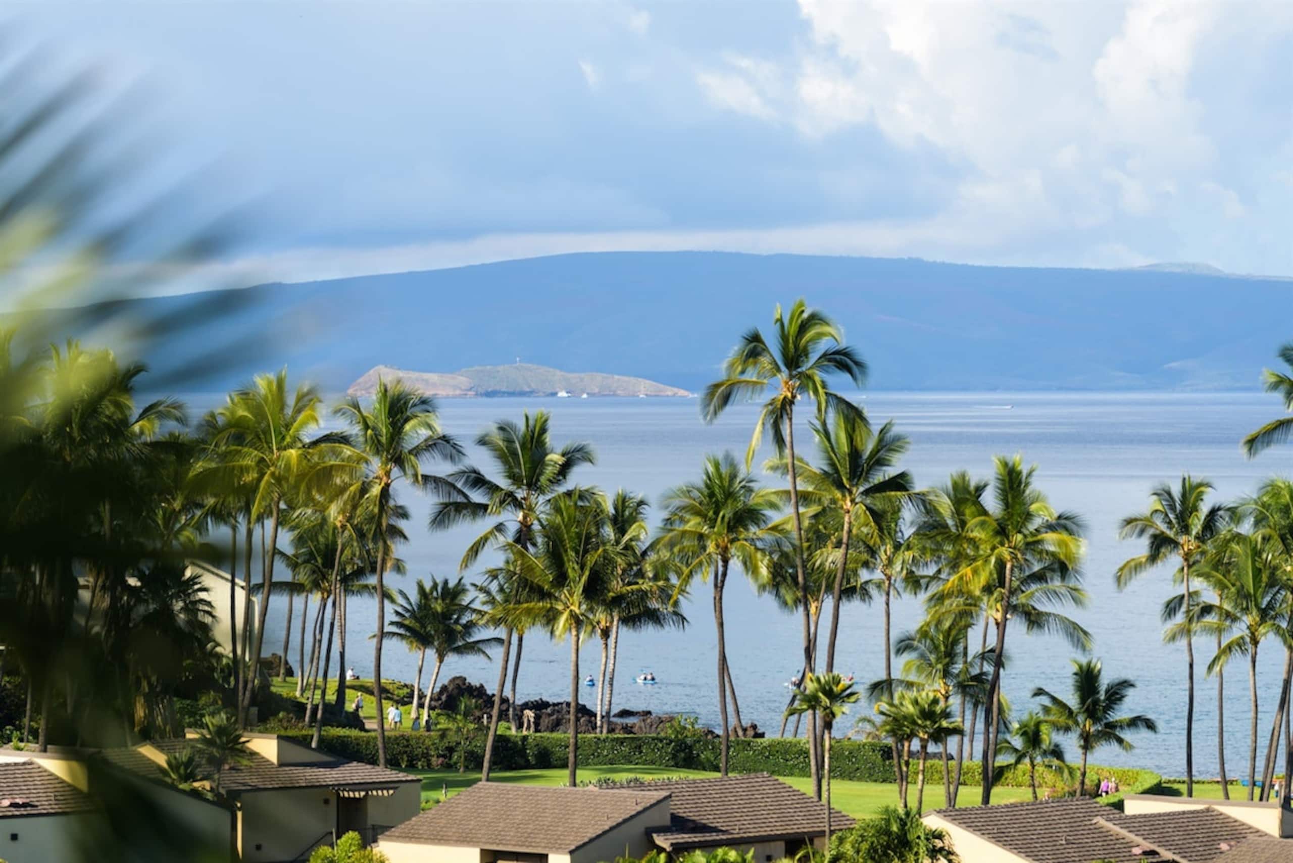 Condo in Wailea · ★4.97 · 2 bedrooms · 4 beds · 2 baths - Image 19