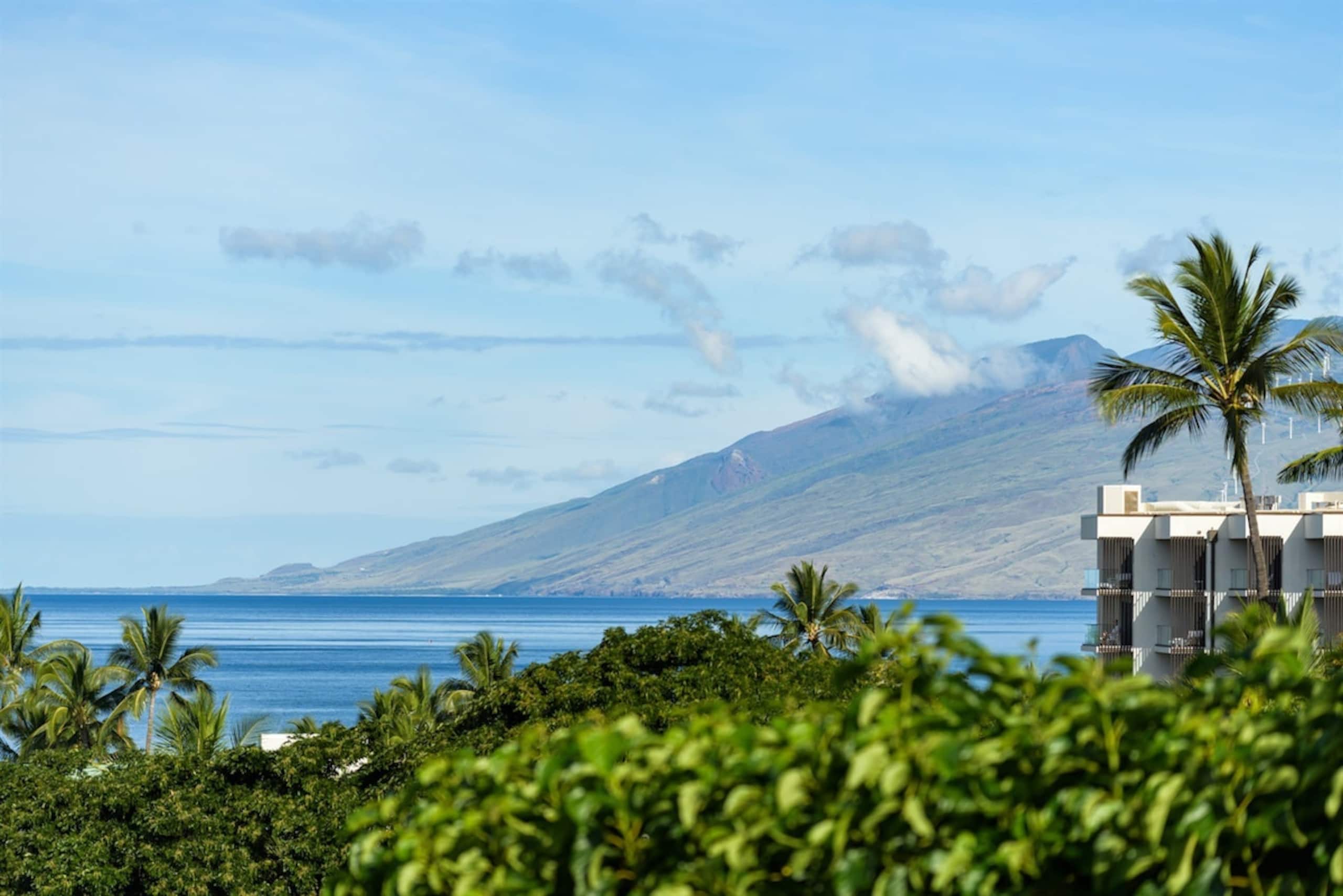 Condo in Wailea · ★4.97 · 2 bedrooms · 4 beds · 2 baths - Image 18