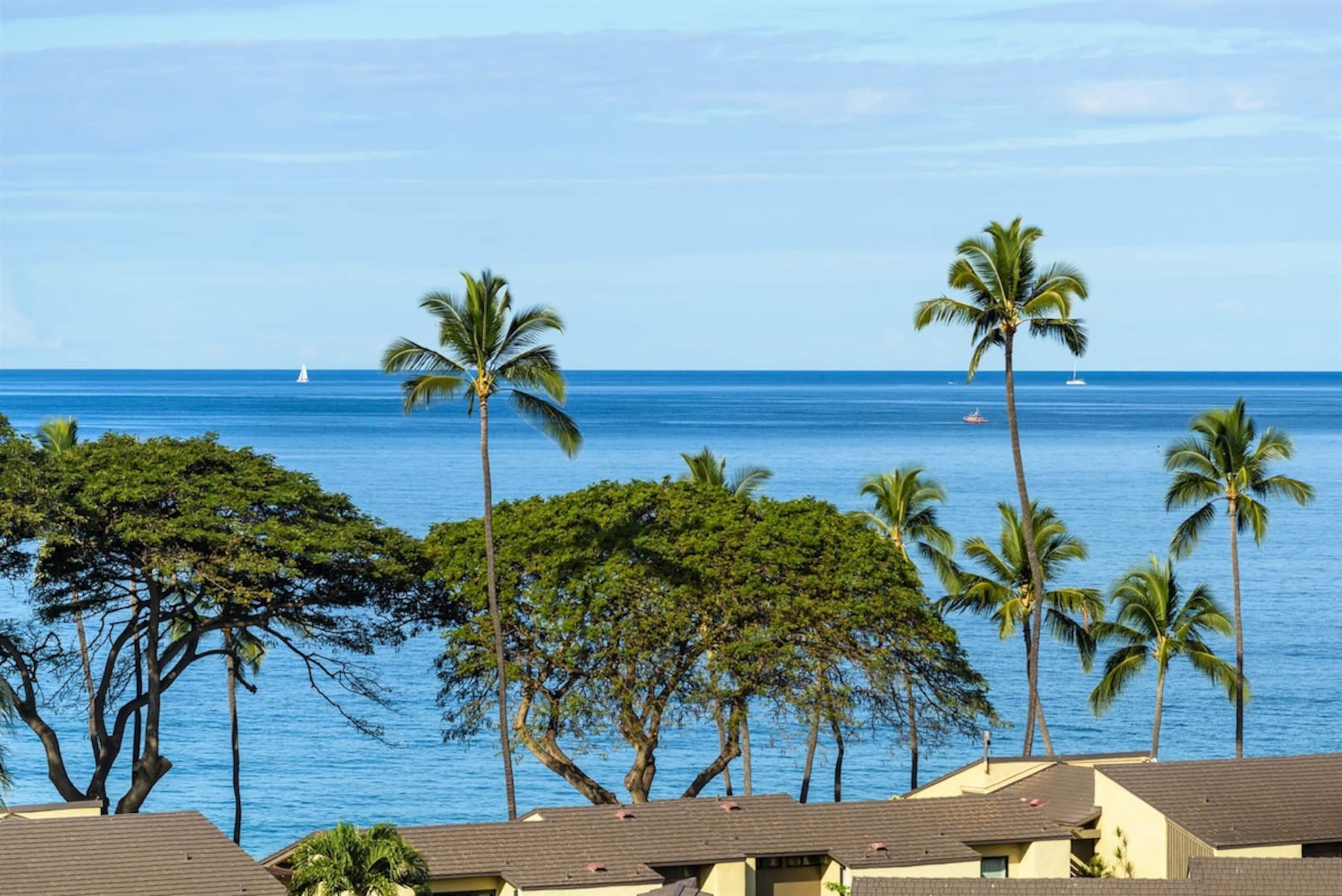 Condo in Wailea · ★4.97 · 2 bedrooms · 4 beds · 2 baths - Image 17