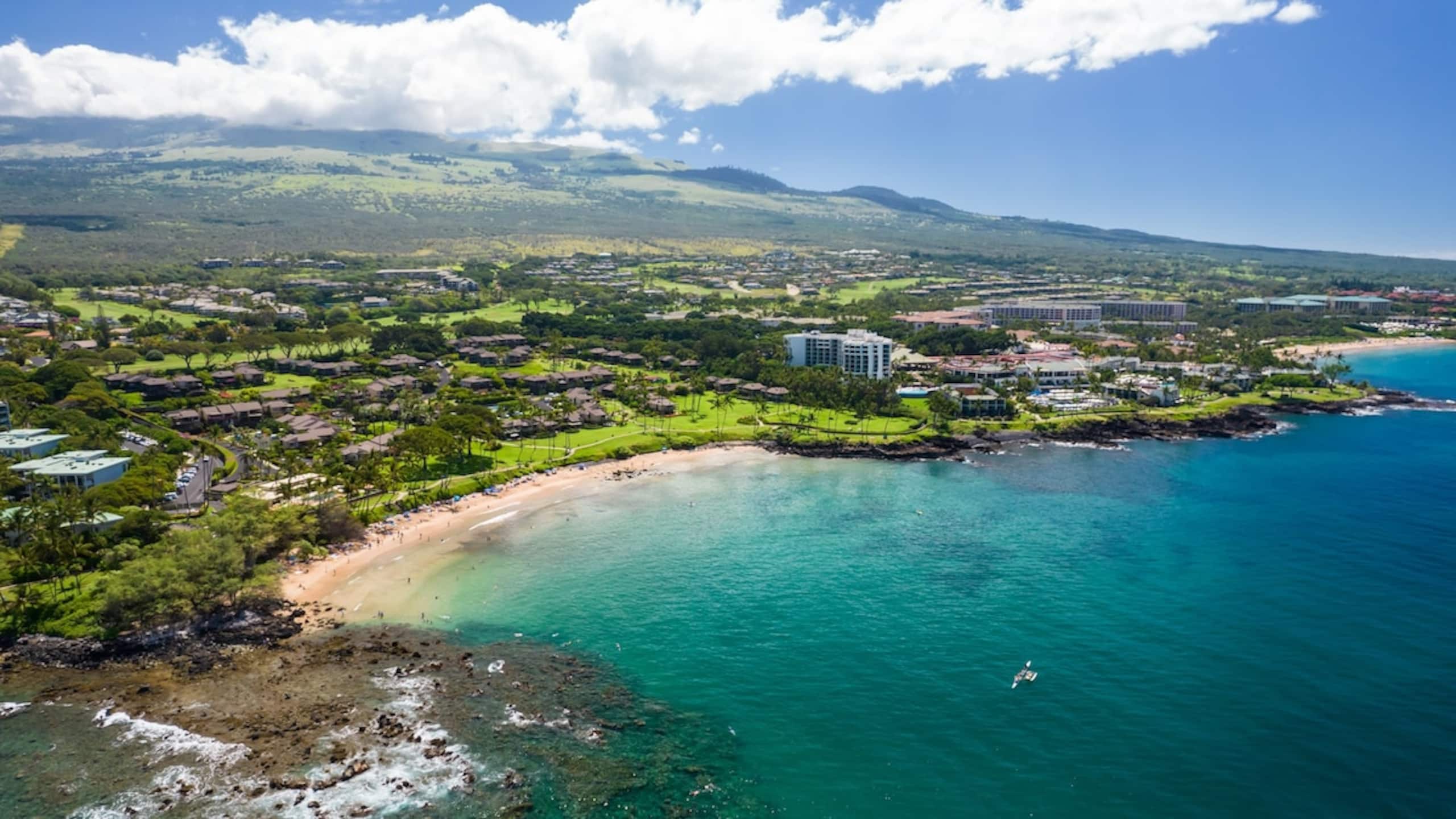 Condo in Wailea · ★4.97 · 2 bedrooms · 4 beds · 2 baths - Image 25