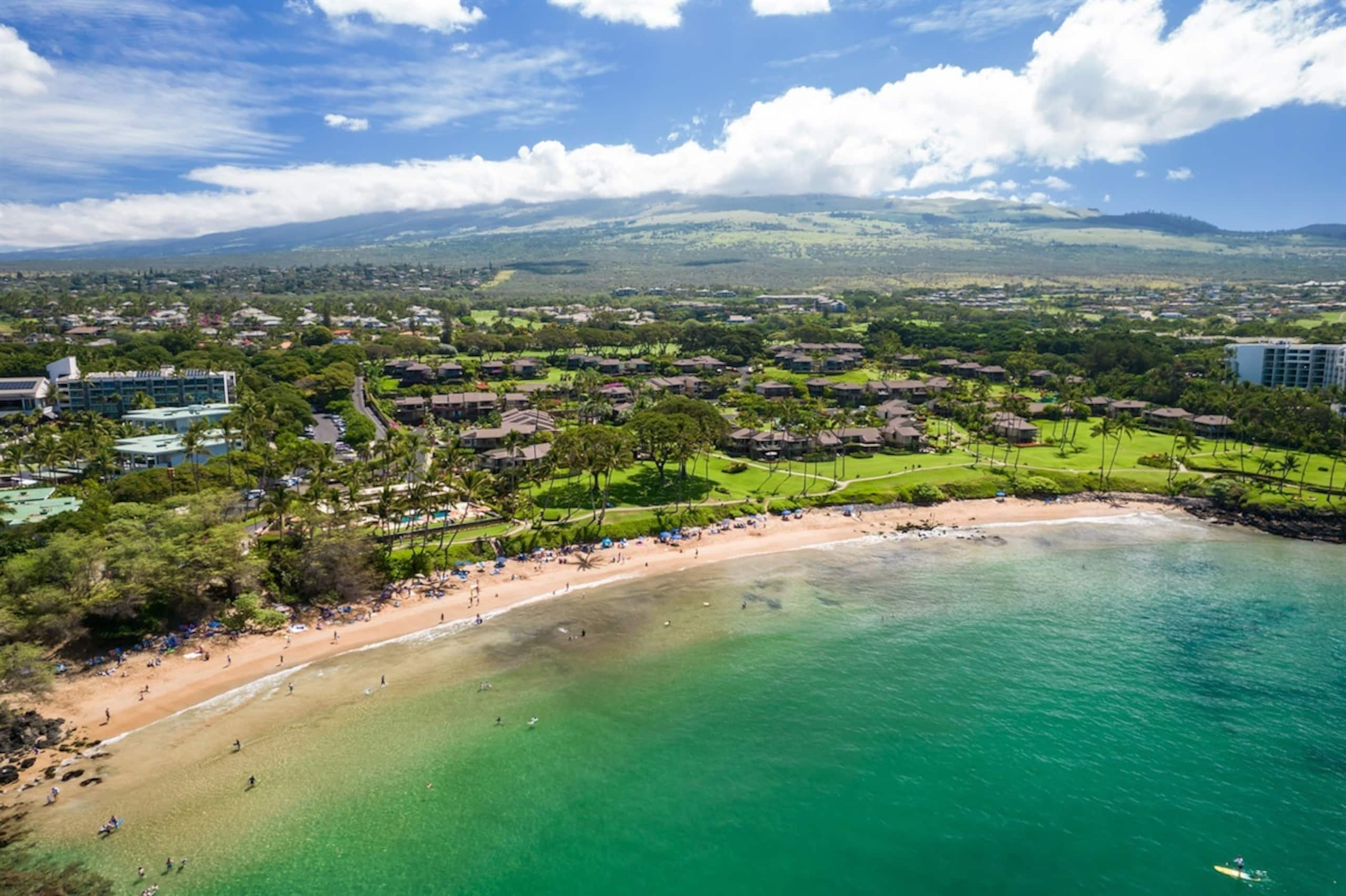 Condo in Wailea · ★4.97 · 2 bedrooms · 4 beds · 2 baths - Image 29