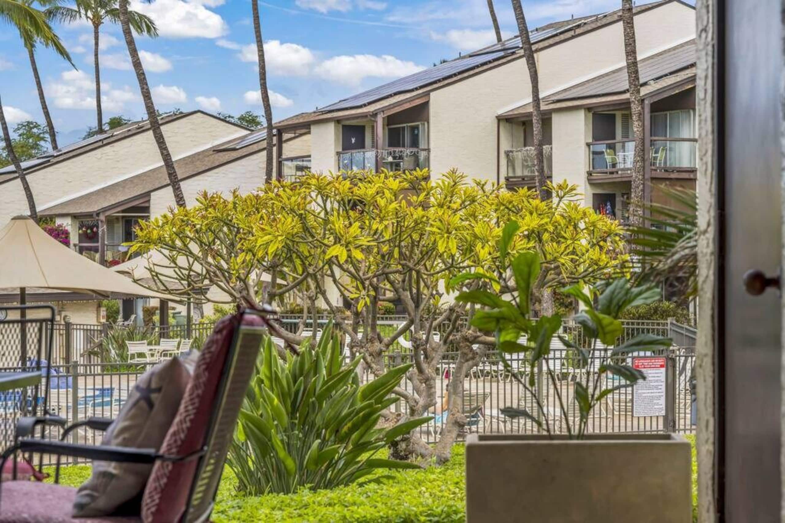 Condo in Kihei · ★4.95 · 1 bedroom · 1 bed · 1 bath - Image 13