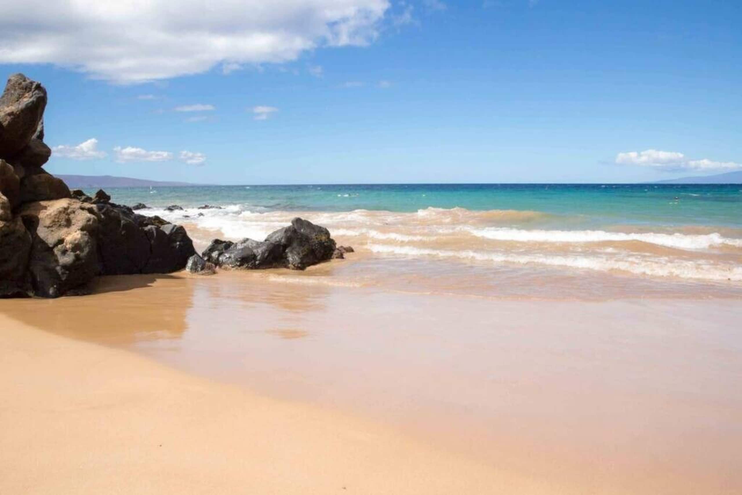Condo in Kihei · ★4.95 · 1 bedroom · 1 bed · 1 bath - Image 40