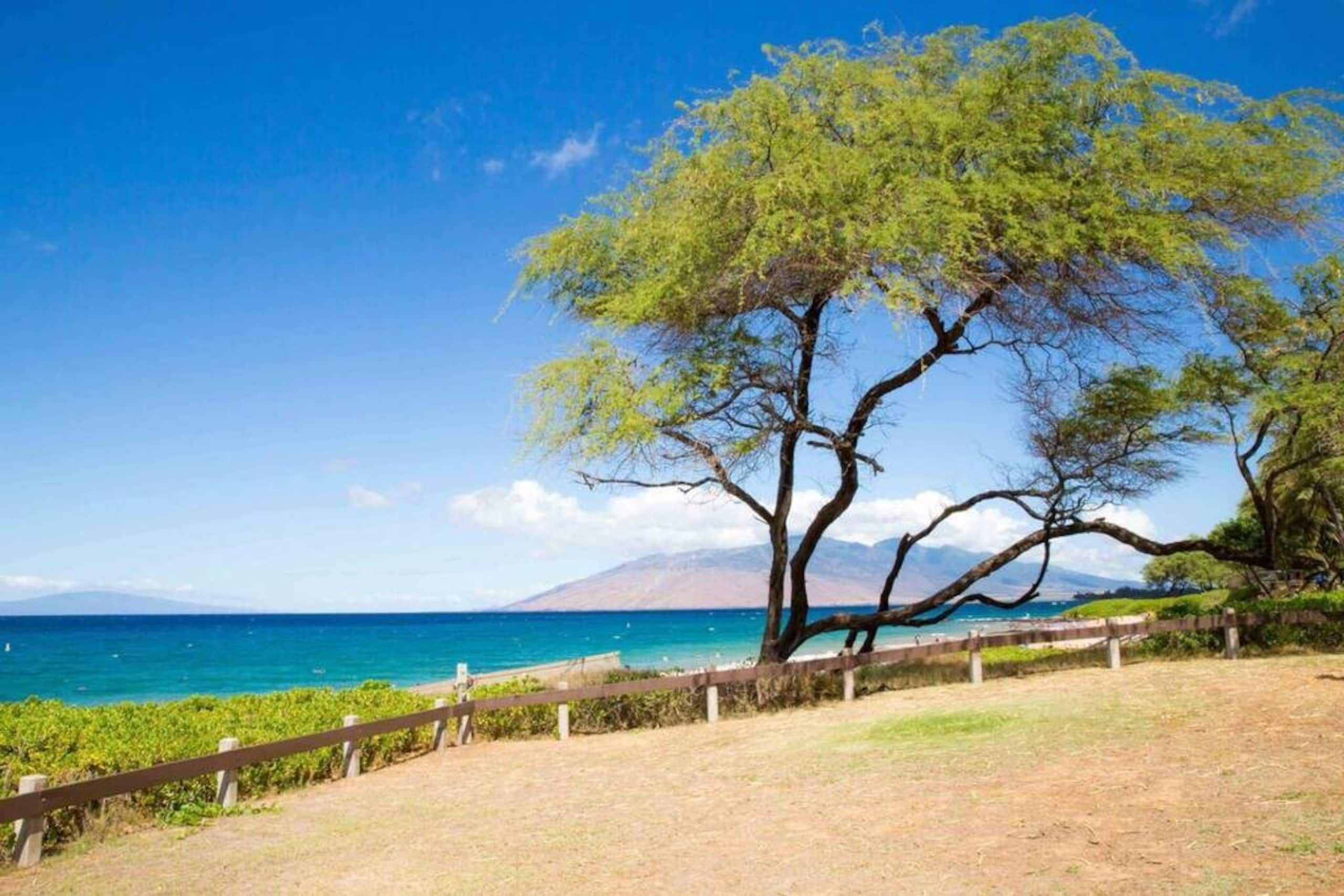Condo in Kihei · ★4.95 · 1 bedroom · 1 bed · 1 bath - Image 38