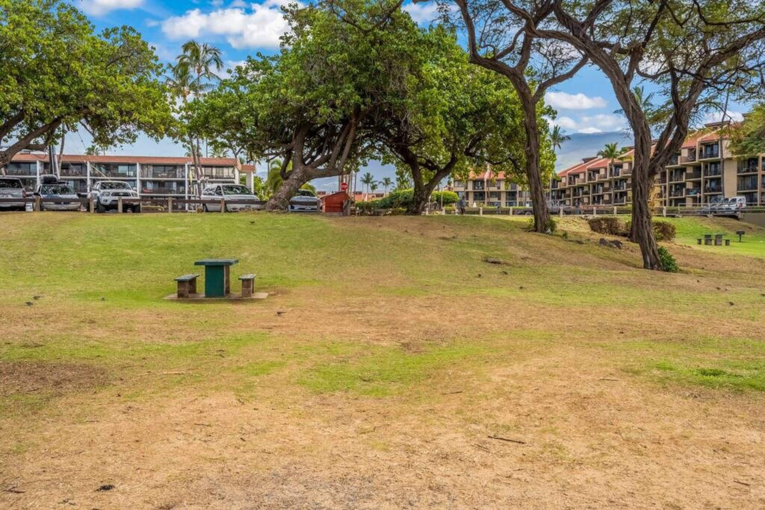 Condo in Kihei · ★4.95 · 1 bedroom · 1 bed · 1 bath - Image 36