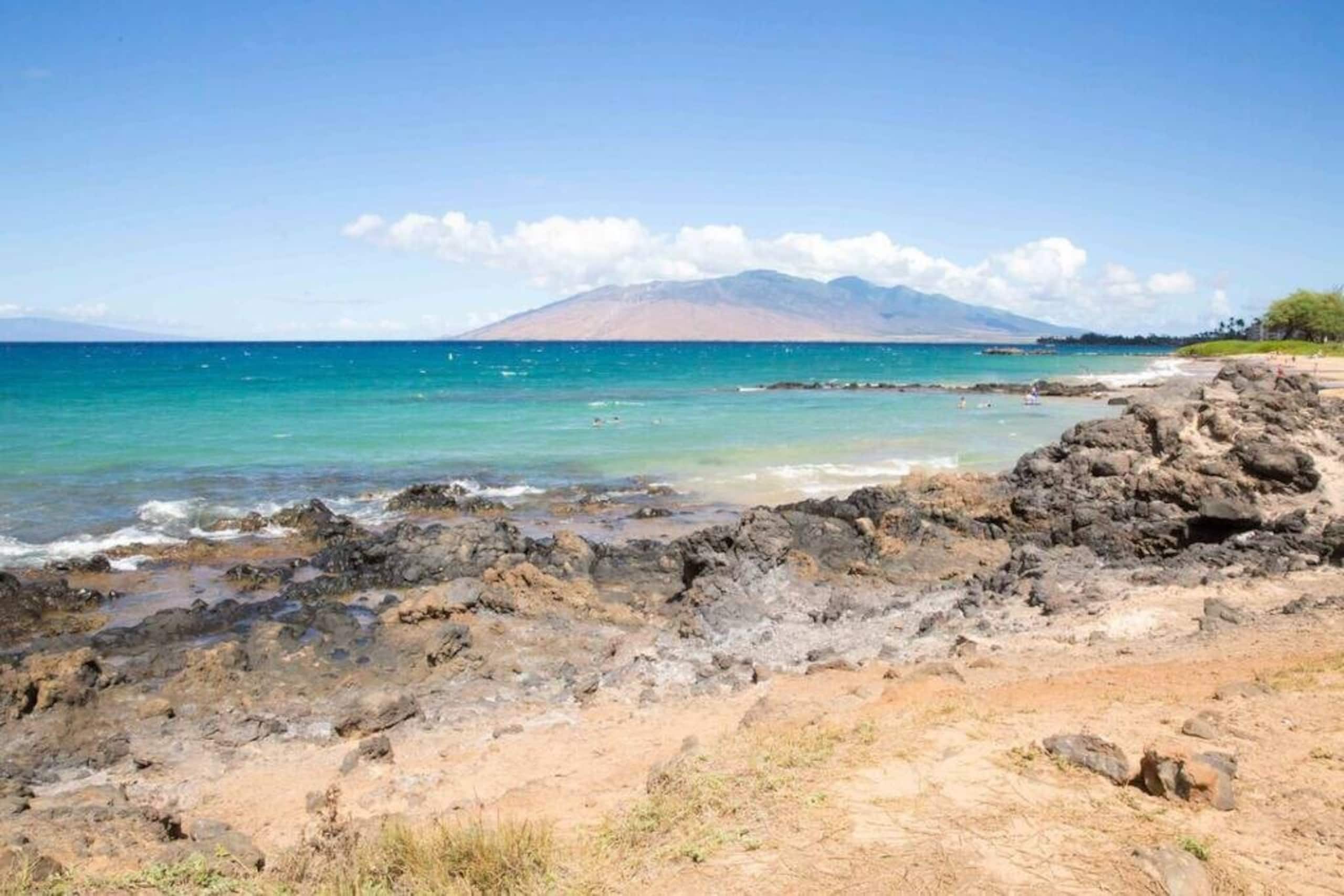 Condo in Kihei · ★4.95 · 1 bedroom · 1 bed · 1 bath - Image 41