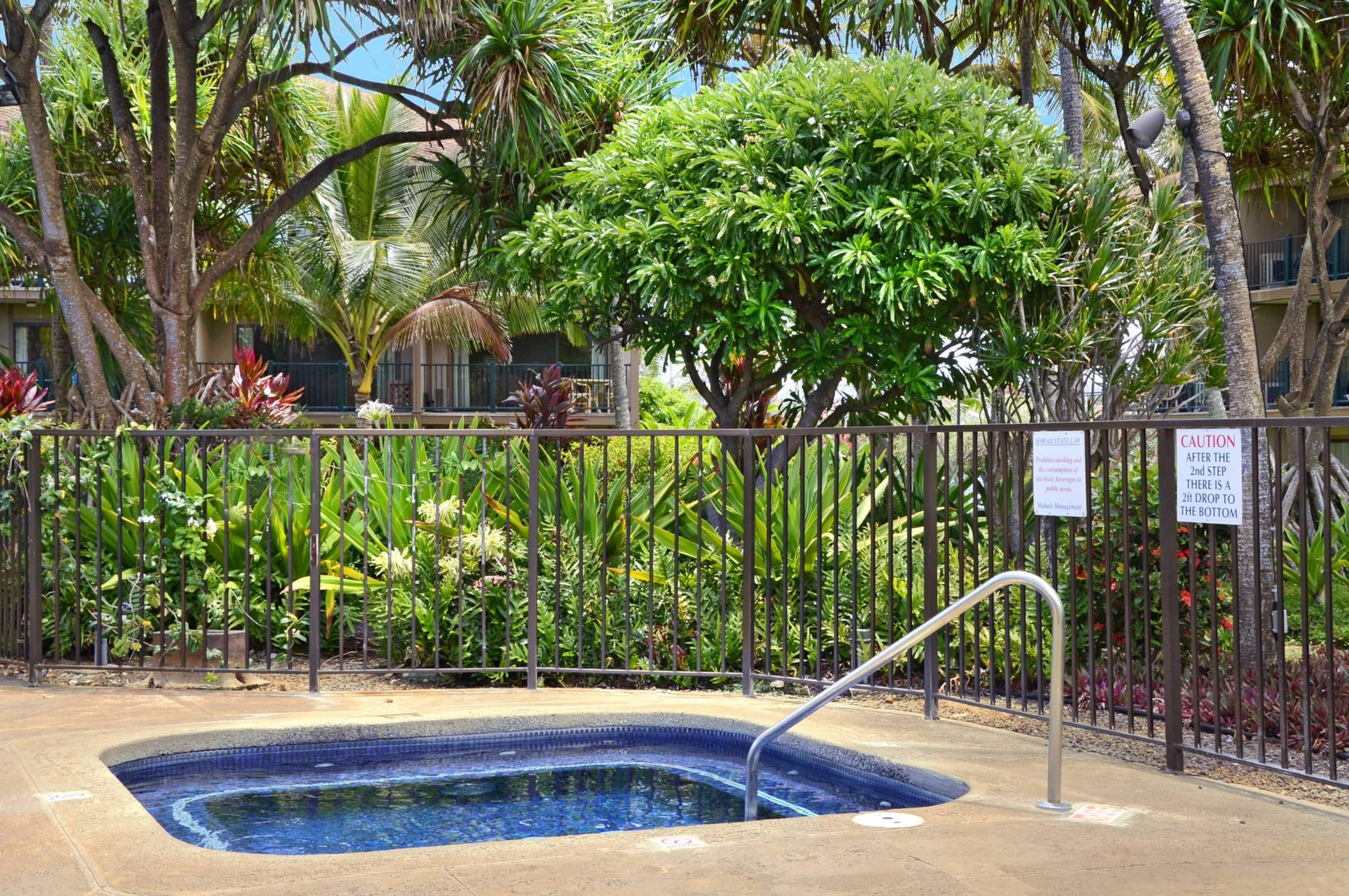 Condo in Kapaa · ★4.92 · 2 bedrooms · 3 beds · 1 bath - Image 33