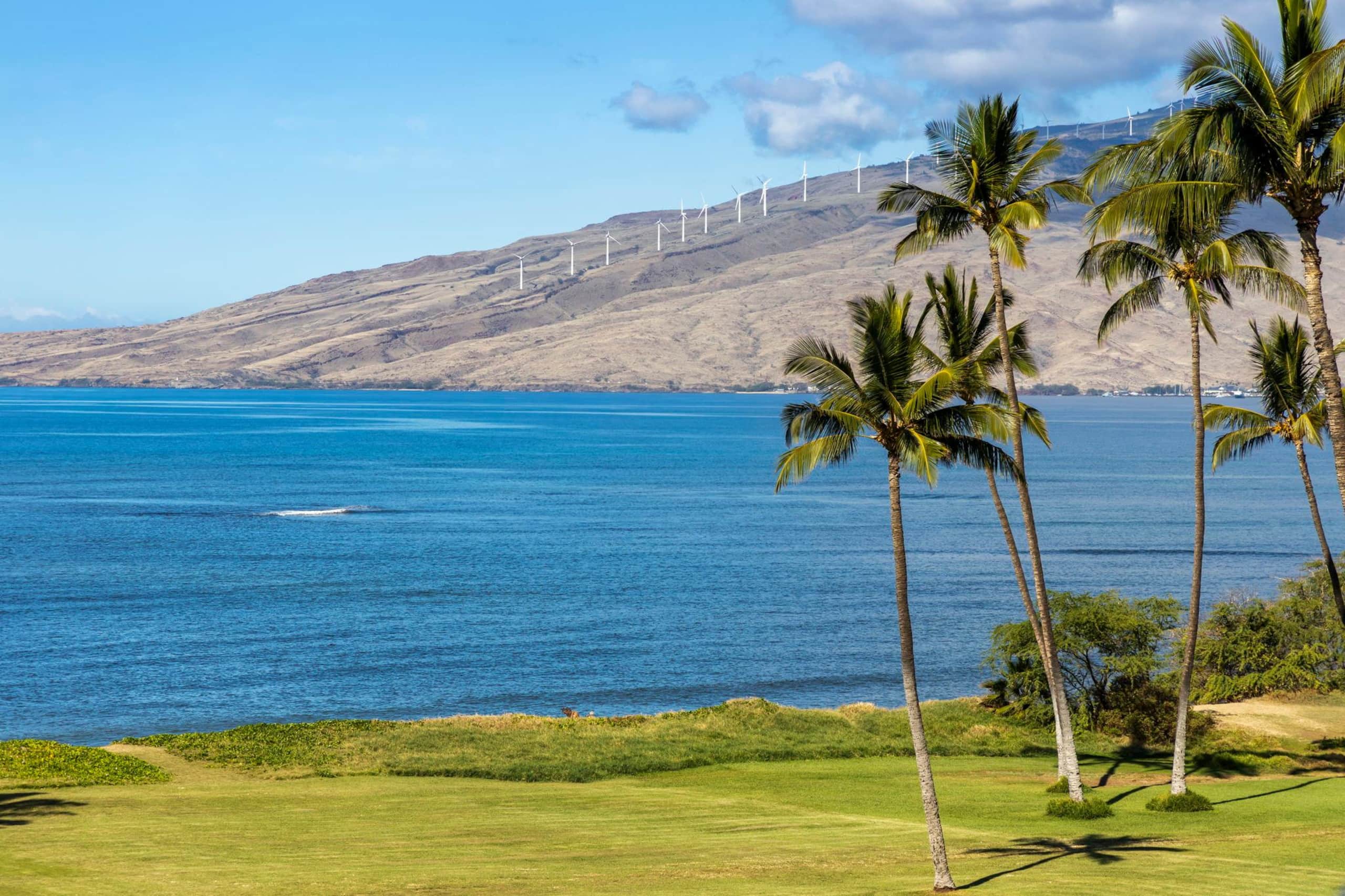 Condo in Kihei · ★4.0 · 1 bedroom · 3 beds · 2 baths - Image 28