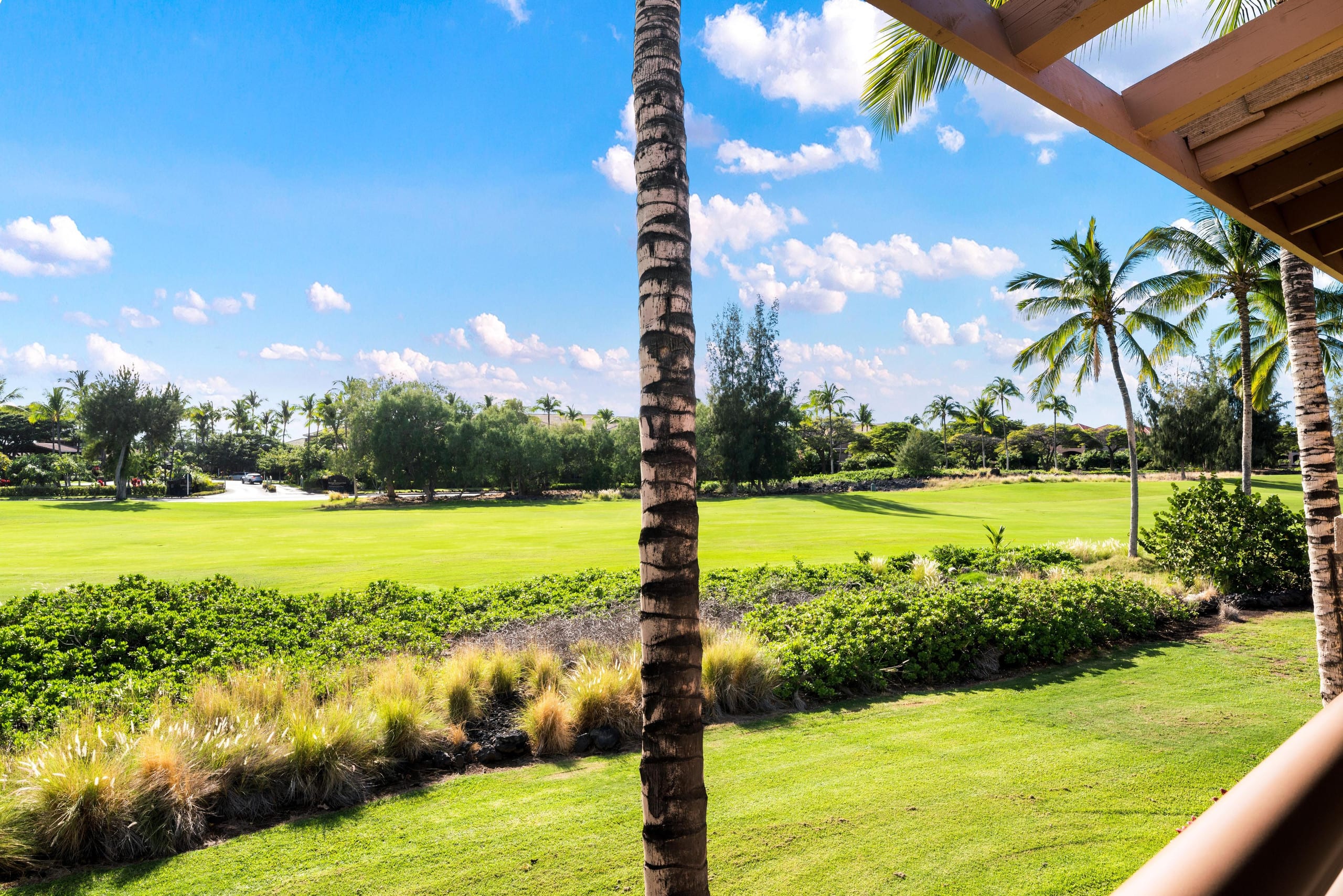 Hilton Pool Pass for 2026 1303 Waikoloa Colony - Photo 37