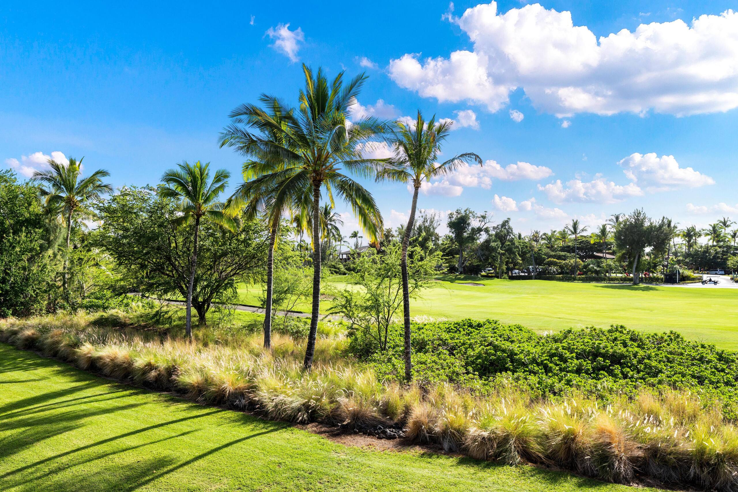 Hilton Pool Pass for 2026 1303 Waikoloa Colony - Photo 35