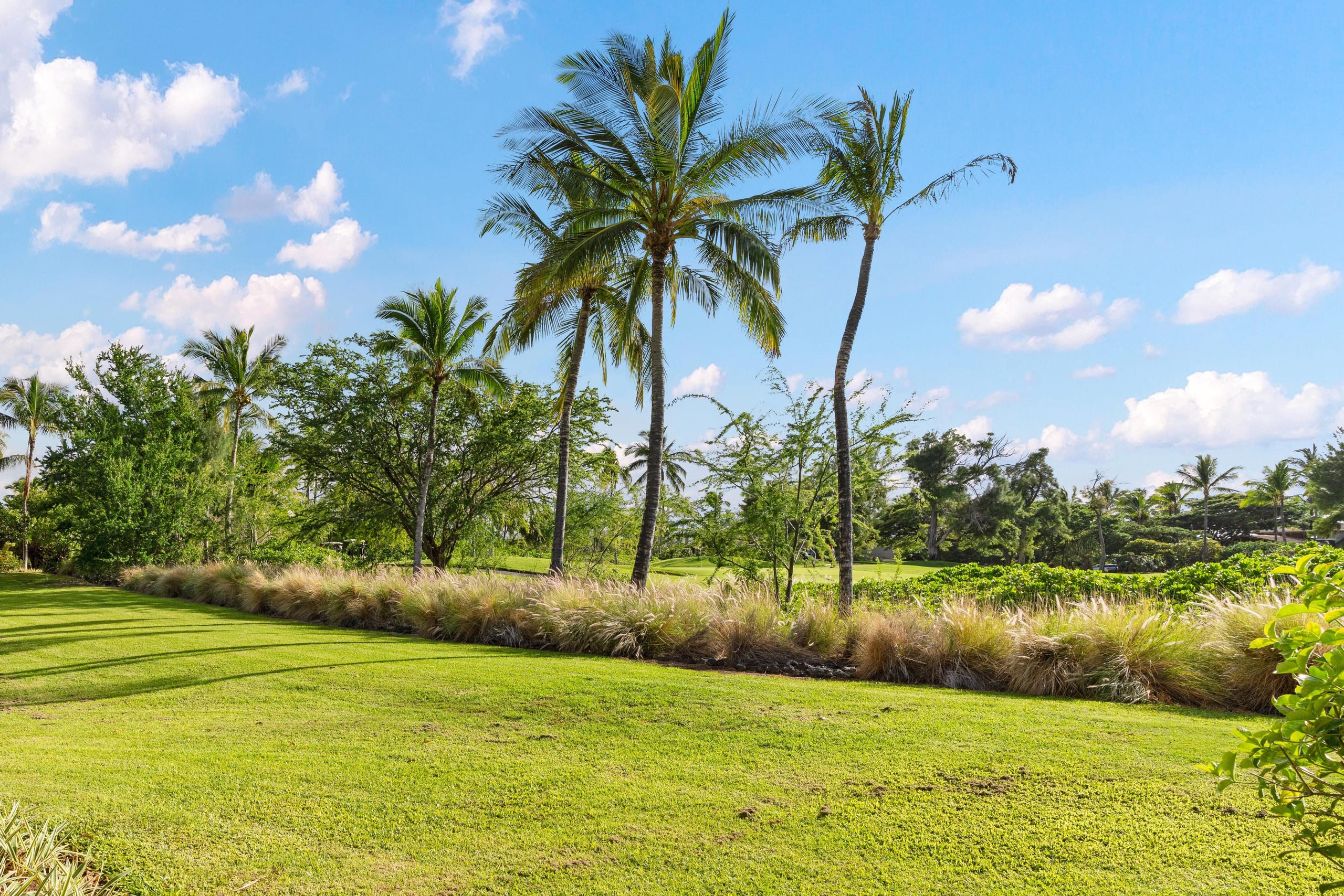 Hilton Pool Pass for 2026 1303 Waikoloa Colony - Photo 47