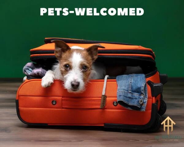 Luxury Family Friendly Home | 6 Queen Beds gallery image 3