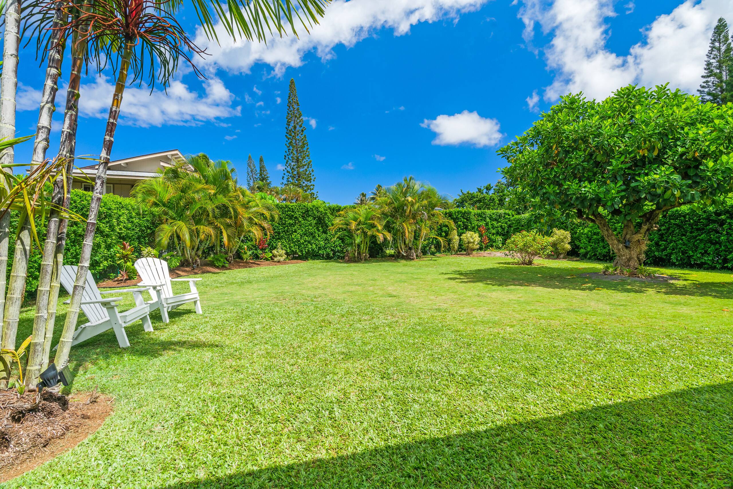 Home in Princeville · ★5.0 · 3 bedrooms · 4 beds · 2 baths - Image 28