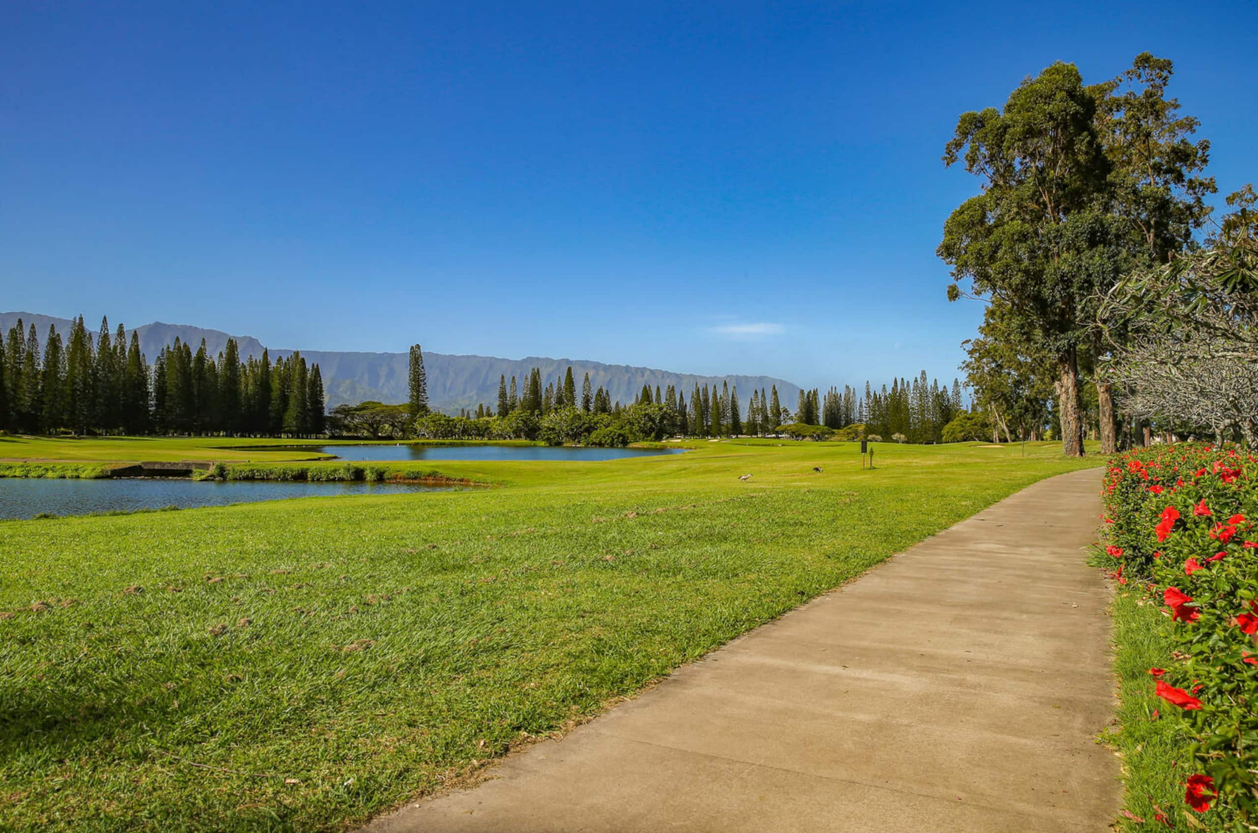 Home in Princeville · ★5.0 · 3 bedrooms · 4 beds · 2 baths - Image 39