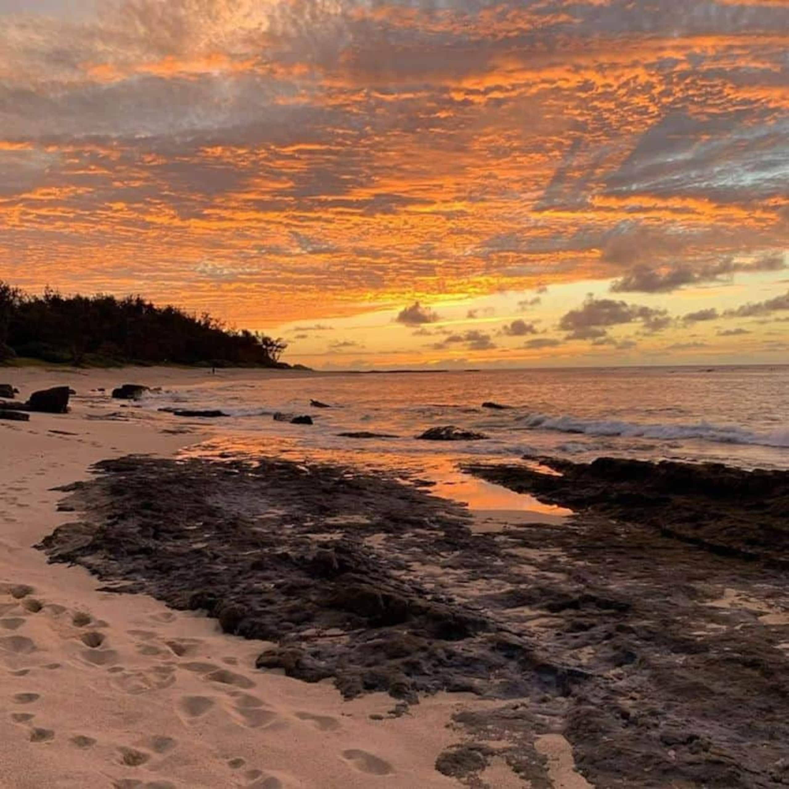Relaxing Haven North Shore Oahu - Kahuku - Image 10