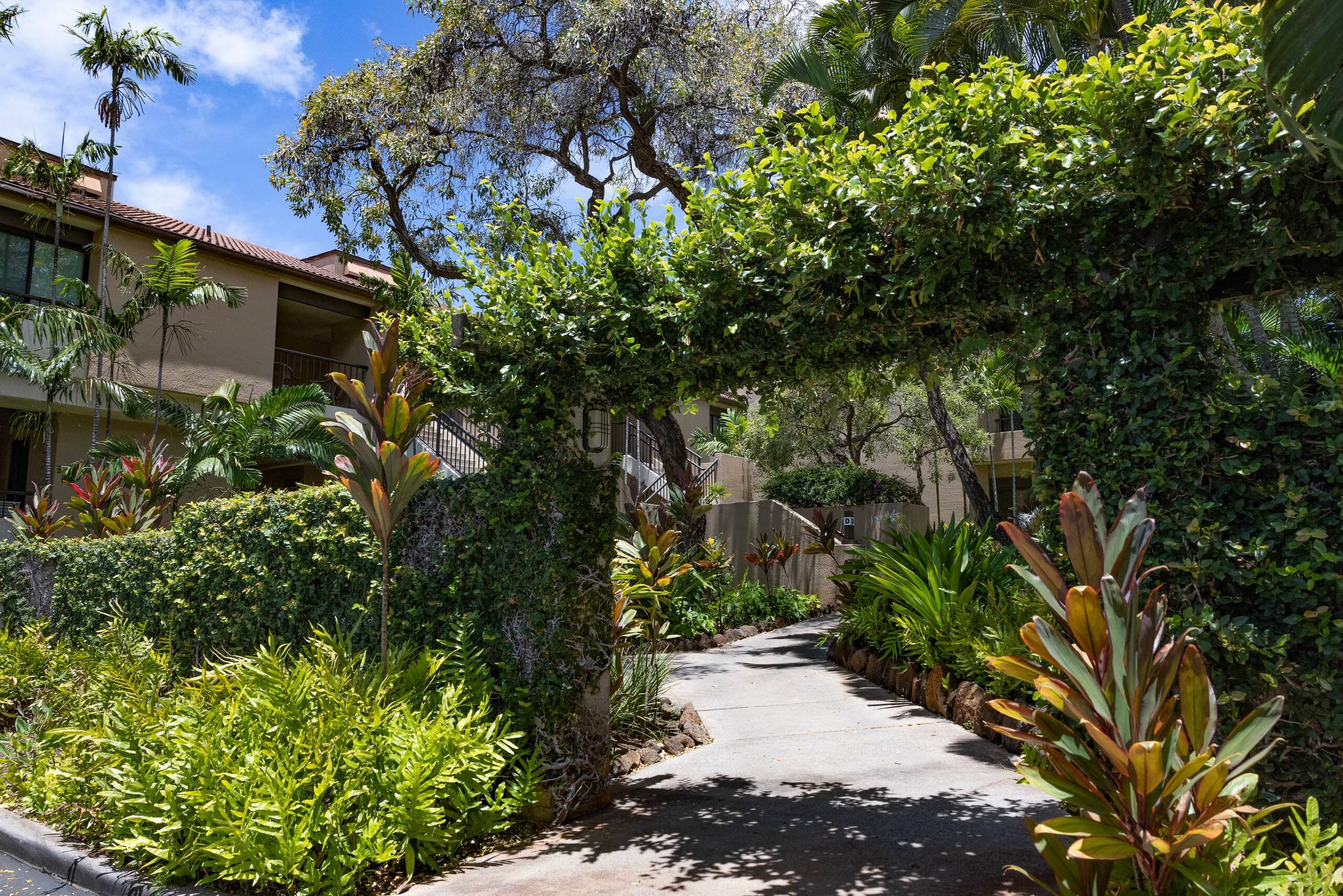 Condo in Lahaina · ★4.98 · 2 bedrooms · 4 beds · 2 baths - Image 35