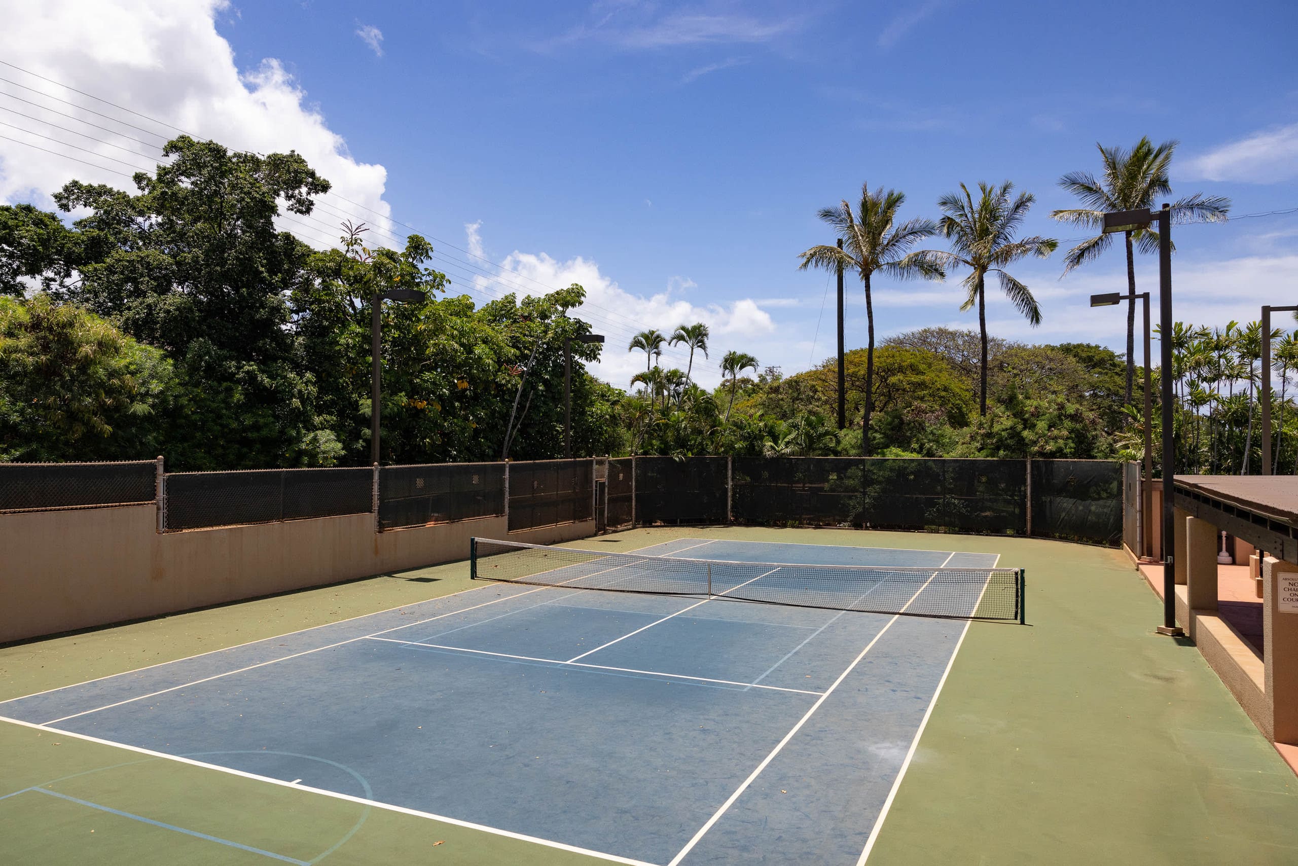 Condo in Lahaina · ★4.98 · 2 bedrooms · 4 beds · 2 baths - Image 36