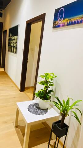 Hotel Apartment in square praha 2 gallery image 5