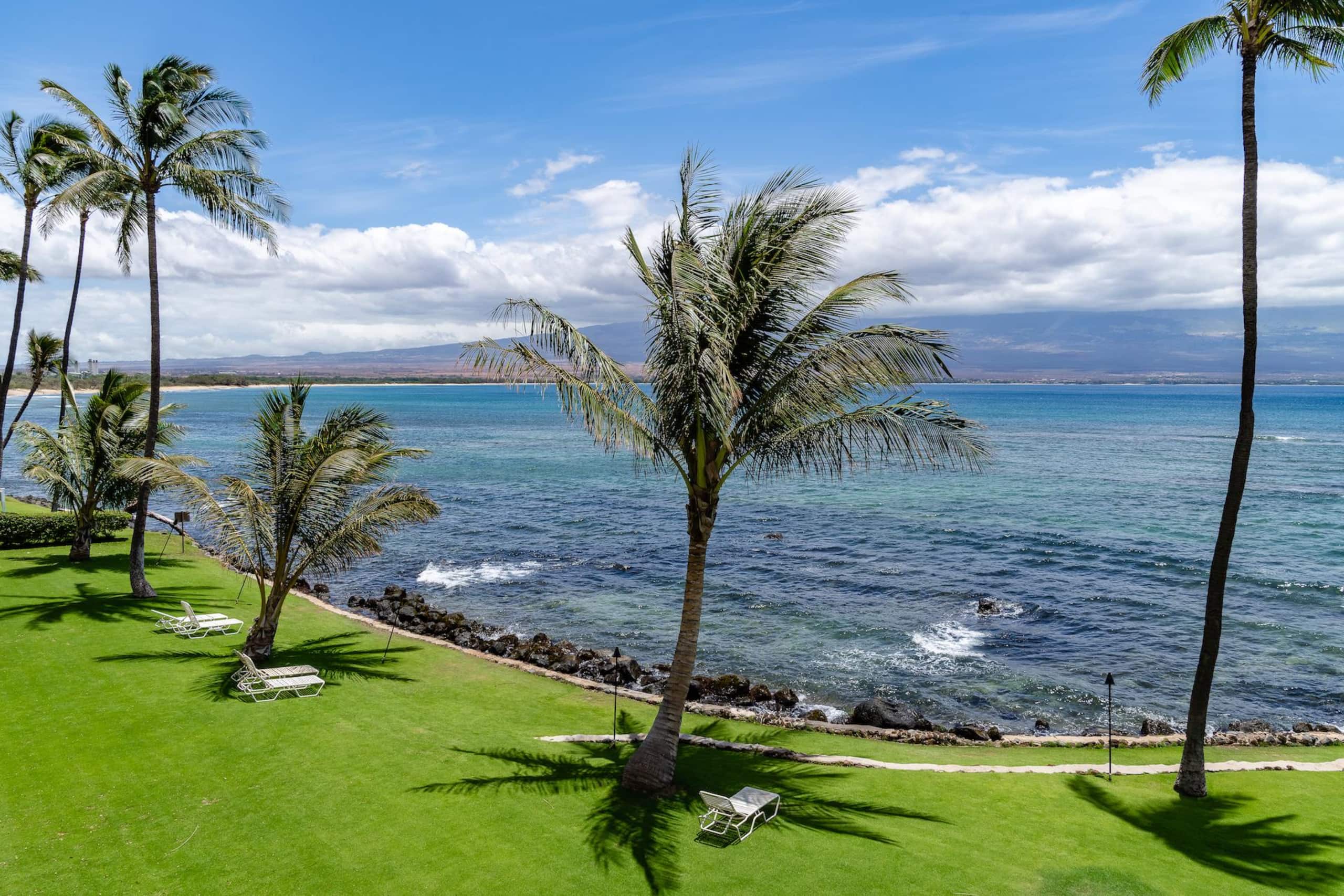 Condo in Wailuku · ★4.97 · 1 bedroom · 1 bed · 1 private bath - Image 34