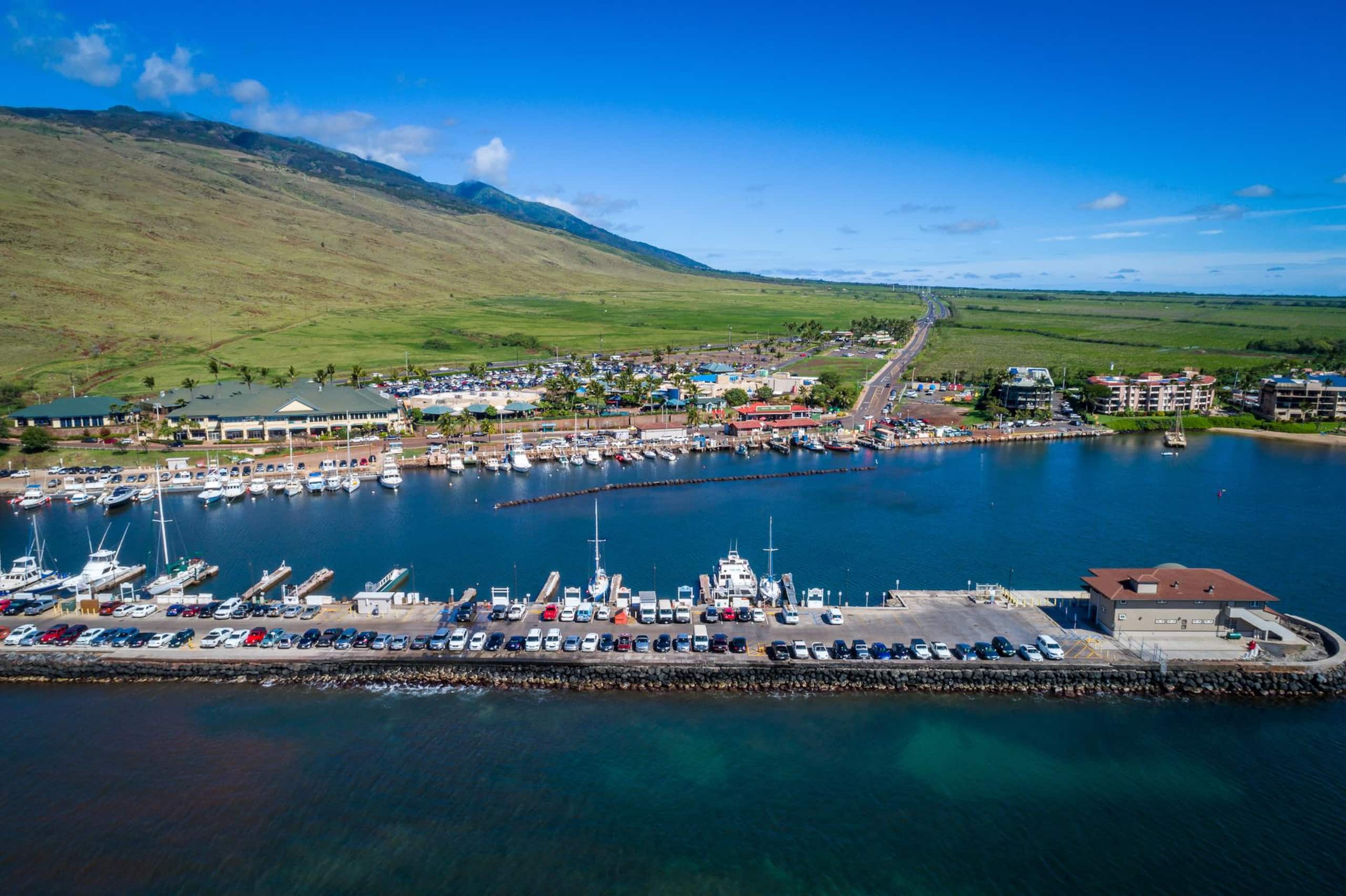 Condo in Wailuku · ★4.97 · 1 bedroom · 1 bed · 1 private bath - Image 56