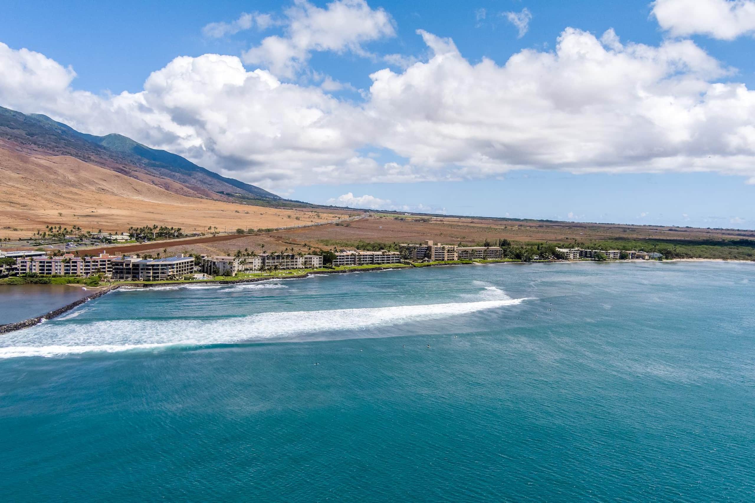 Condo in Wailuku · ★4.97 · 1 bedroom · 1 bed · 1 private bath - Image 48