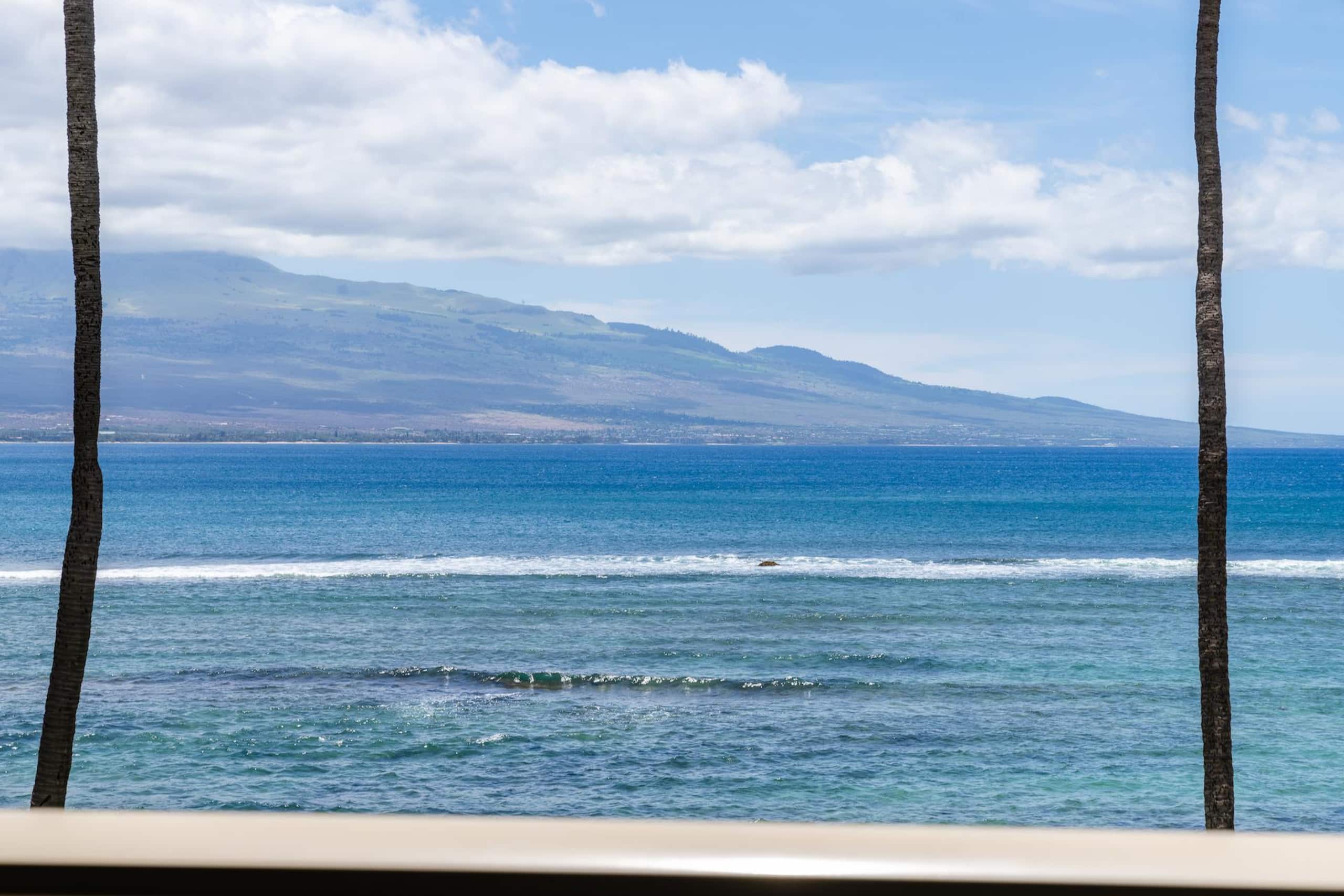 Condo in Wailuku · ★4.97 · 1 bedroom · 1 bed · 1 private bath - Image 24