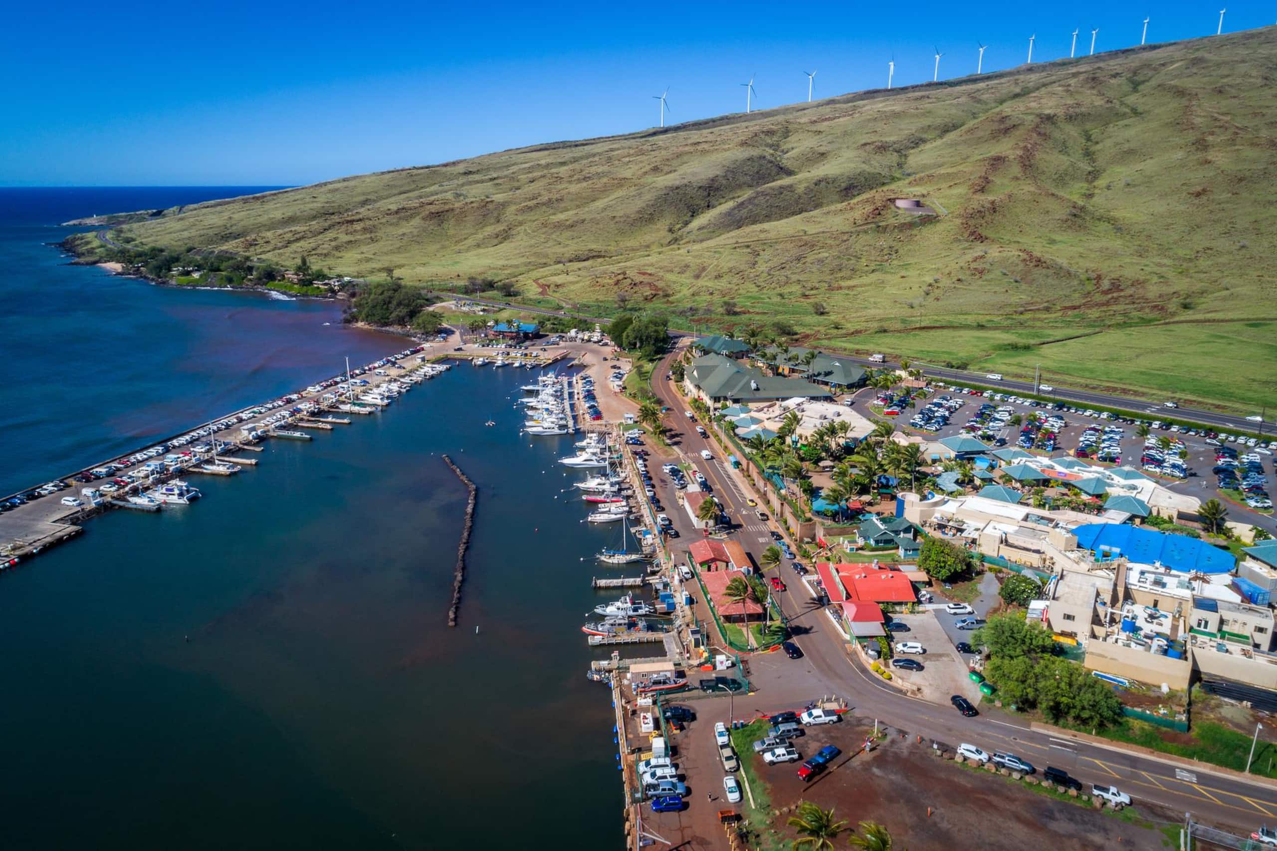 Condo in Wailuku · ★4.97 · 1 bedroom · 1 bed · 1 private bath - Image 53