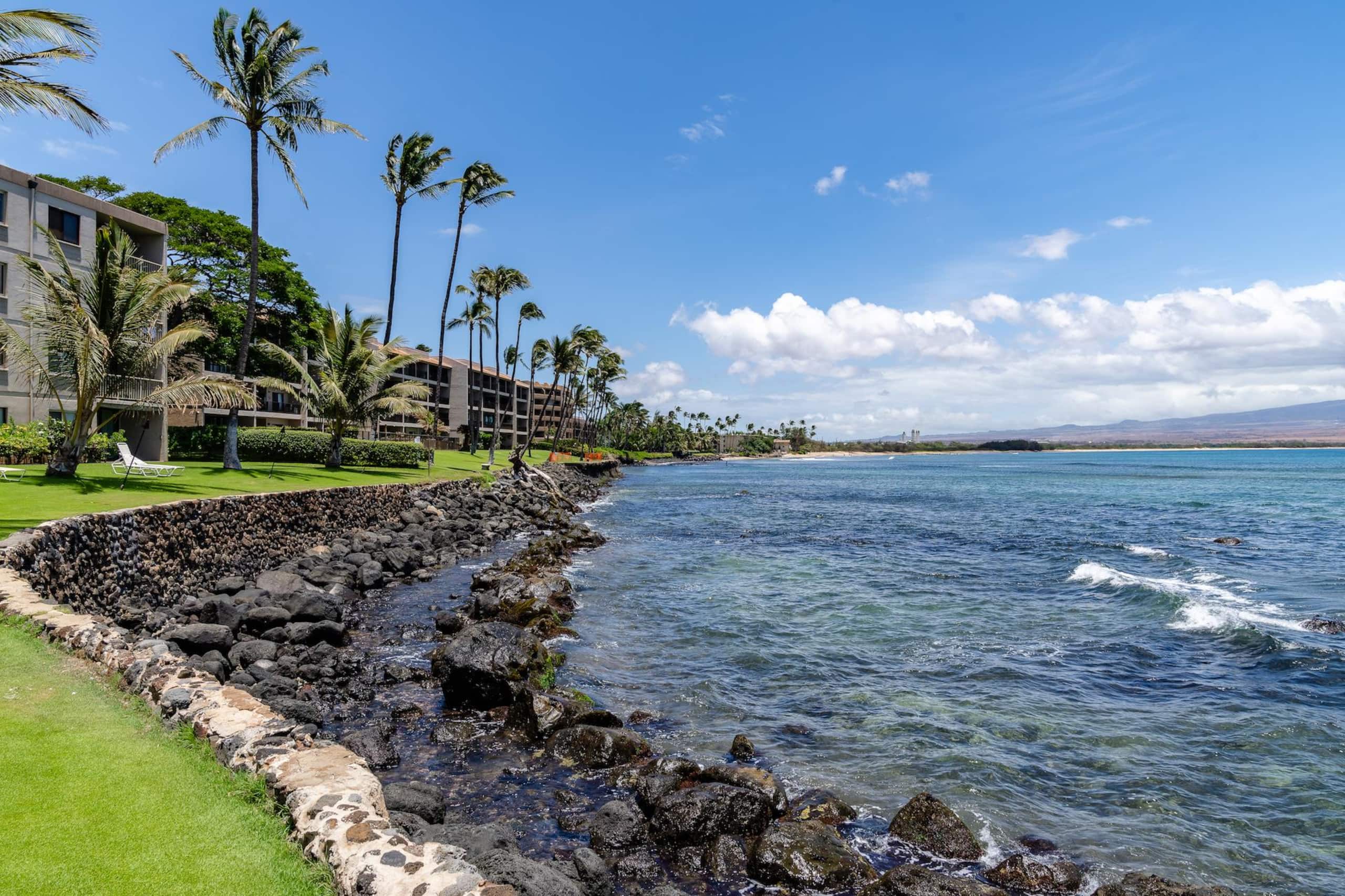 Condo in Wailuku · ★4.97 · 1 bedroom · 1 bed · 1 private bath - Image 44