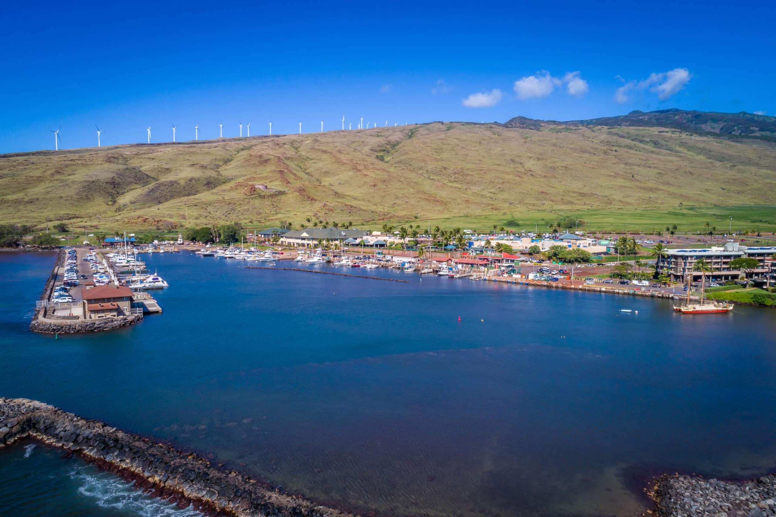 Condo in Wailuku · ★4.97 · 1 bedroom · 1 bed · 1 private bath - Image 54