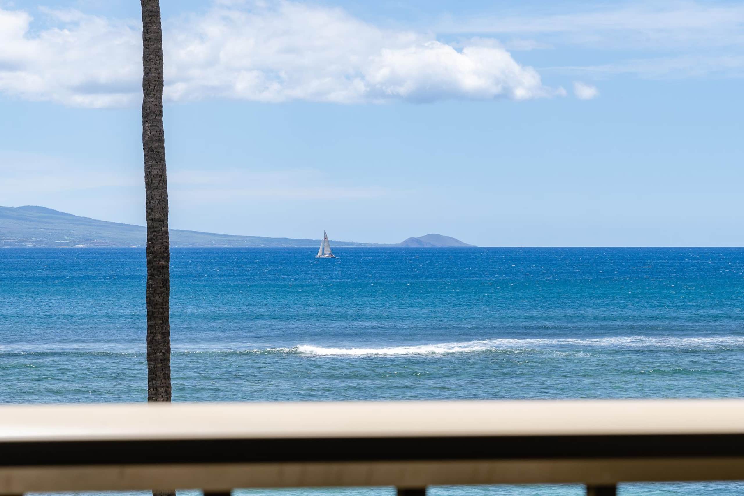 Condo in Wailuku · ★4.97 · 1 bedroom · 1 bed · 1 private bath - Image 8