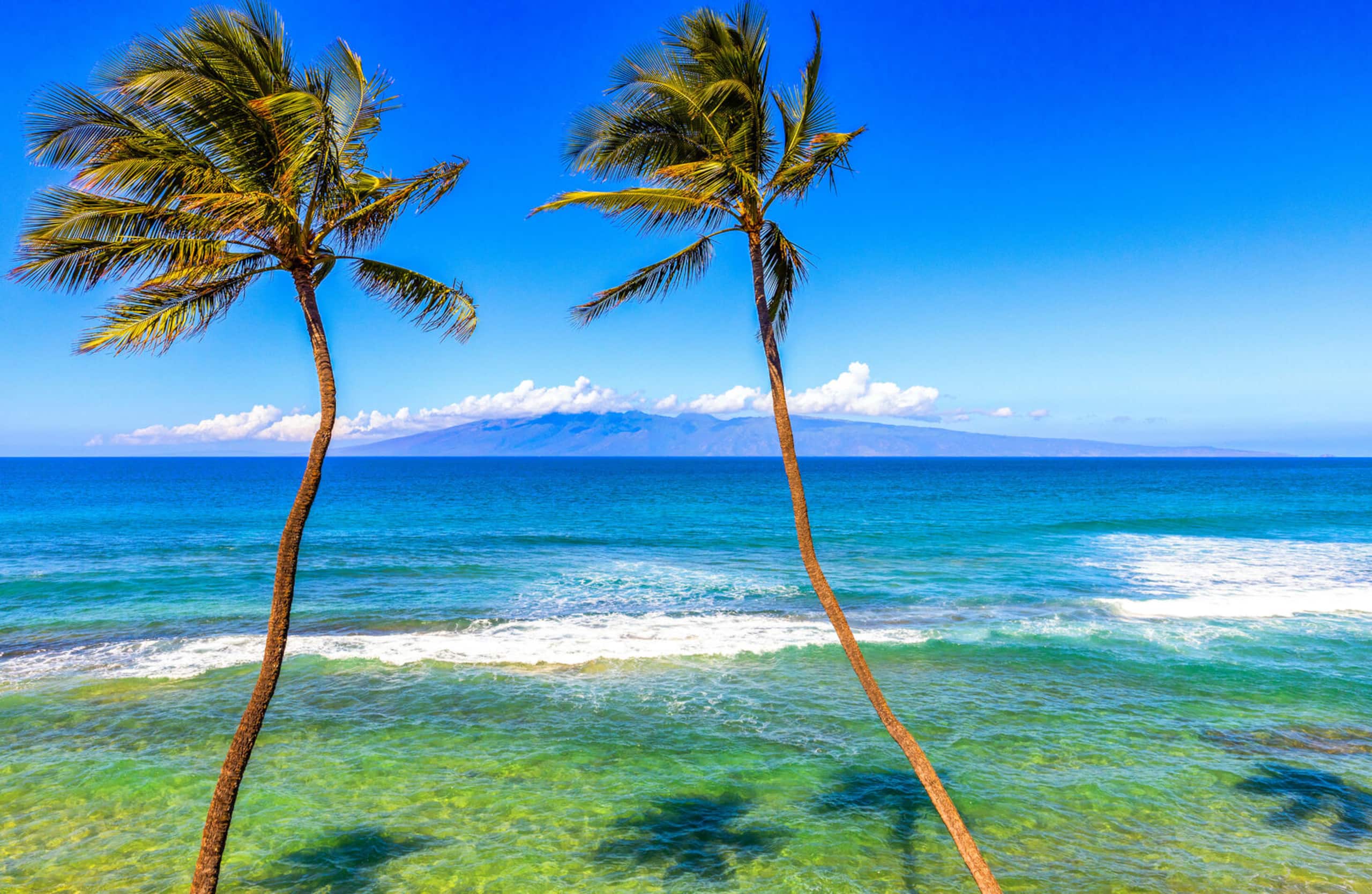 Condo in Lahaina · ★4.78 · 2 bedrooms · 4 beds · 2 baths - Image 18