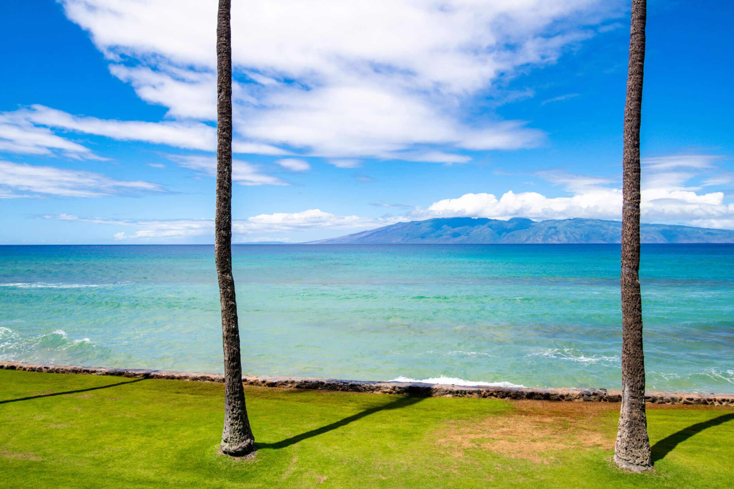 Condo in Lahaina · ★4.78 · 2 bedrooms · 4 beds · 2 baths - Image 29