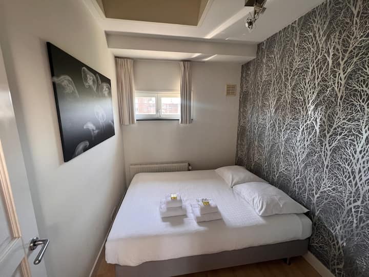 1 cama tamaño queen