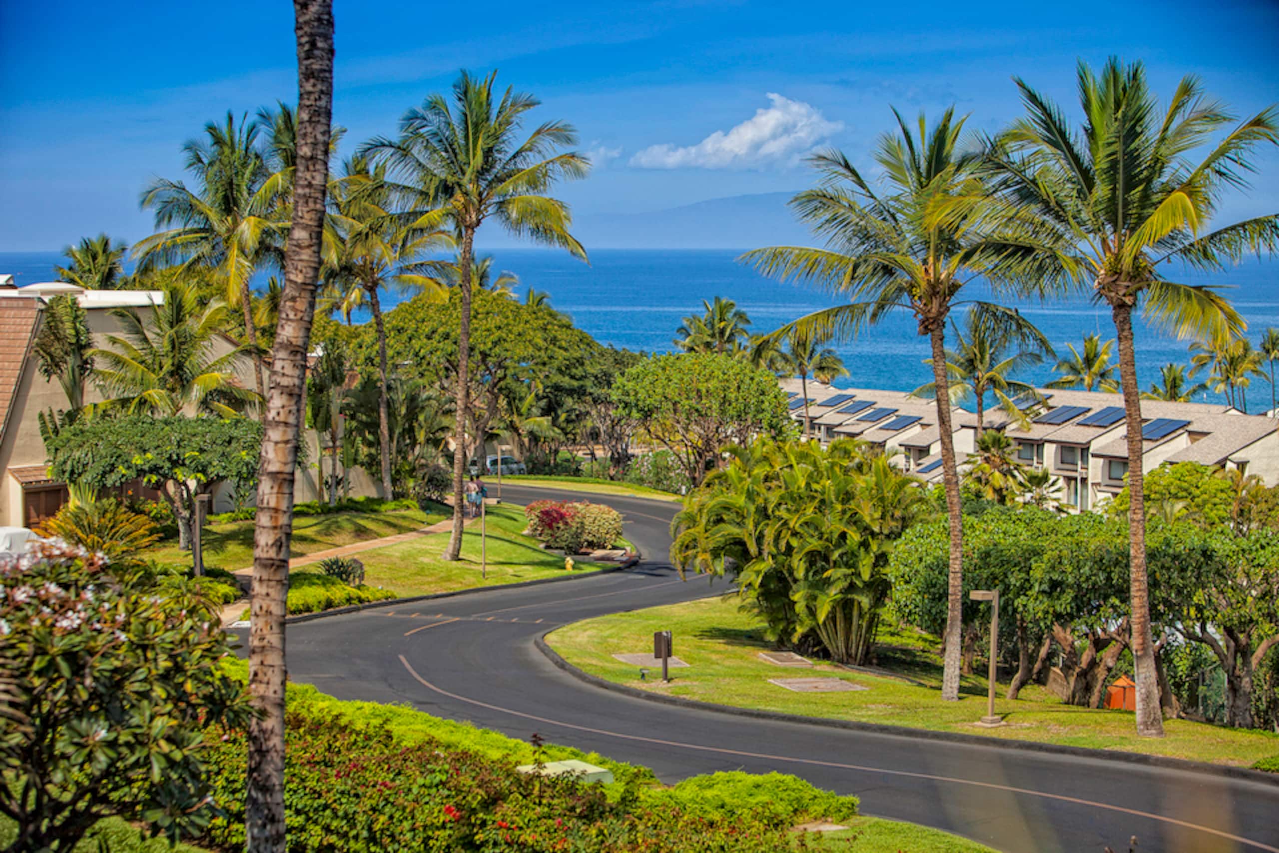 Condo in Kihei · ★4.33 · 1 bedroom · 2 beds · 2 shared baths - Image 39