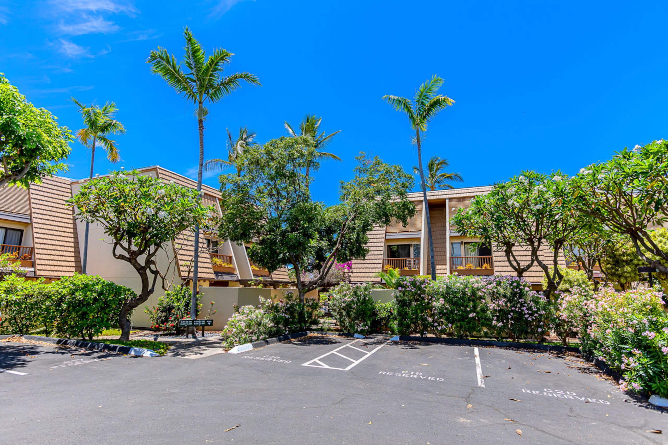 Condo in Kihei · ★4.33 · 1 bedroom · 2 beds · 2 shared baths - Image 42