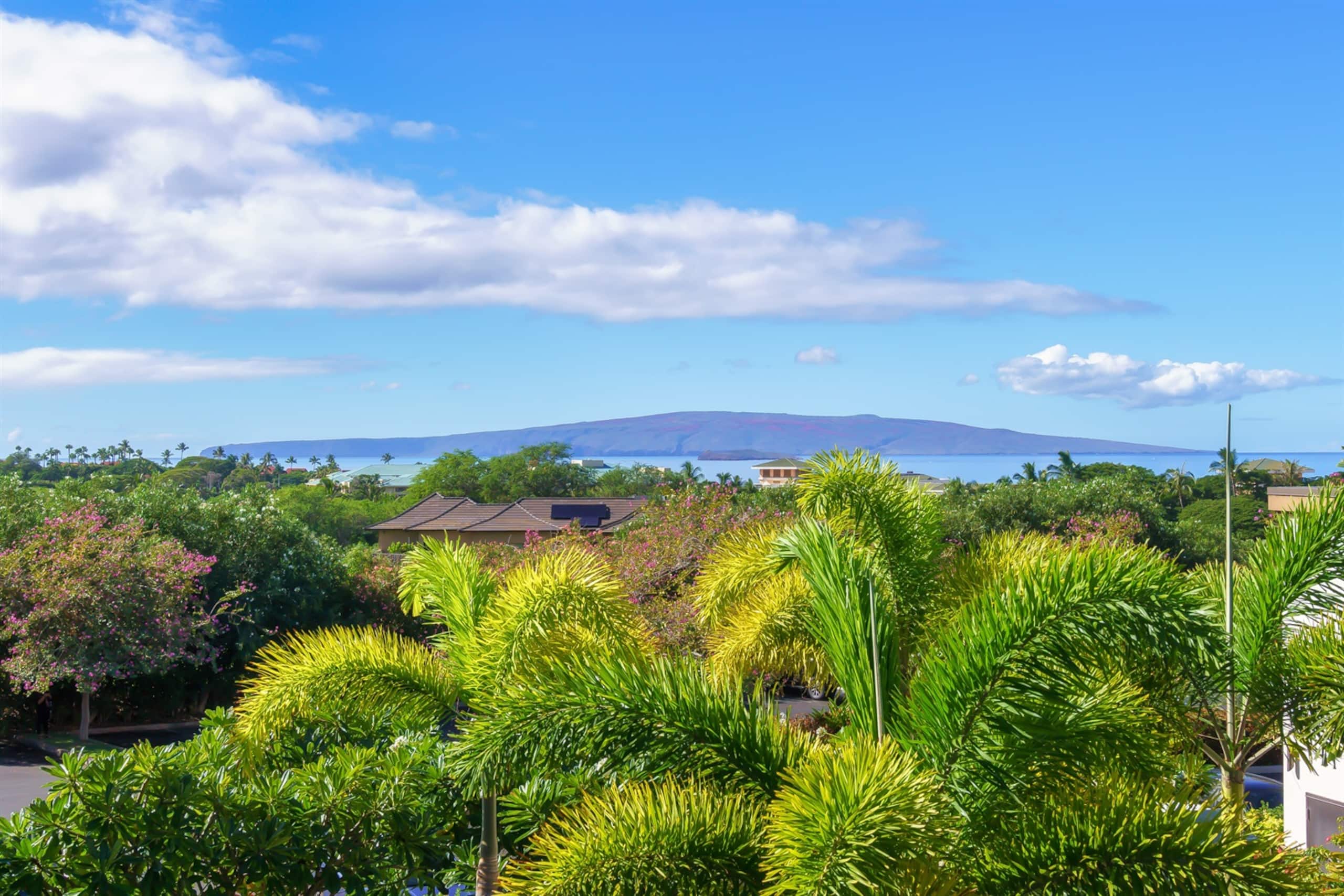 Condo in Wailea · ★4.94 · 1 bedroom · 1 bed · 1 bath - Image 61