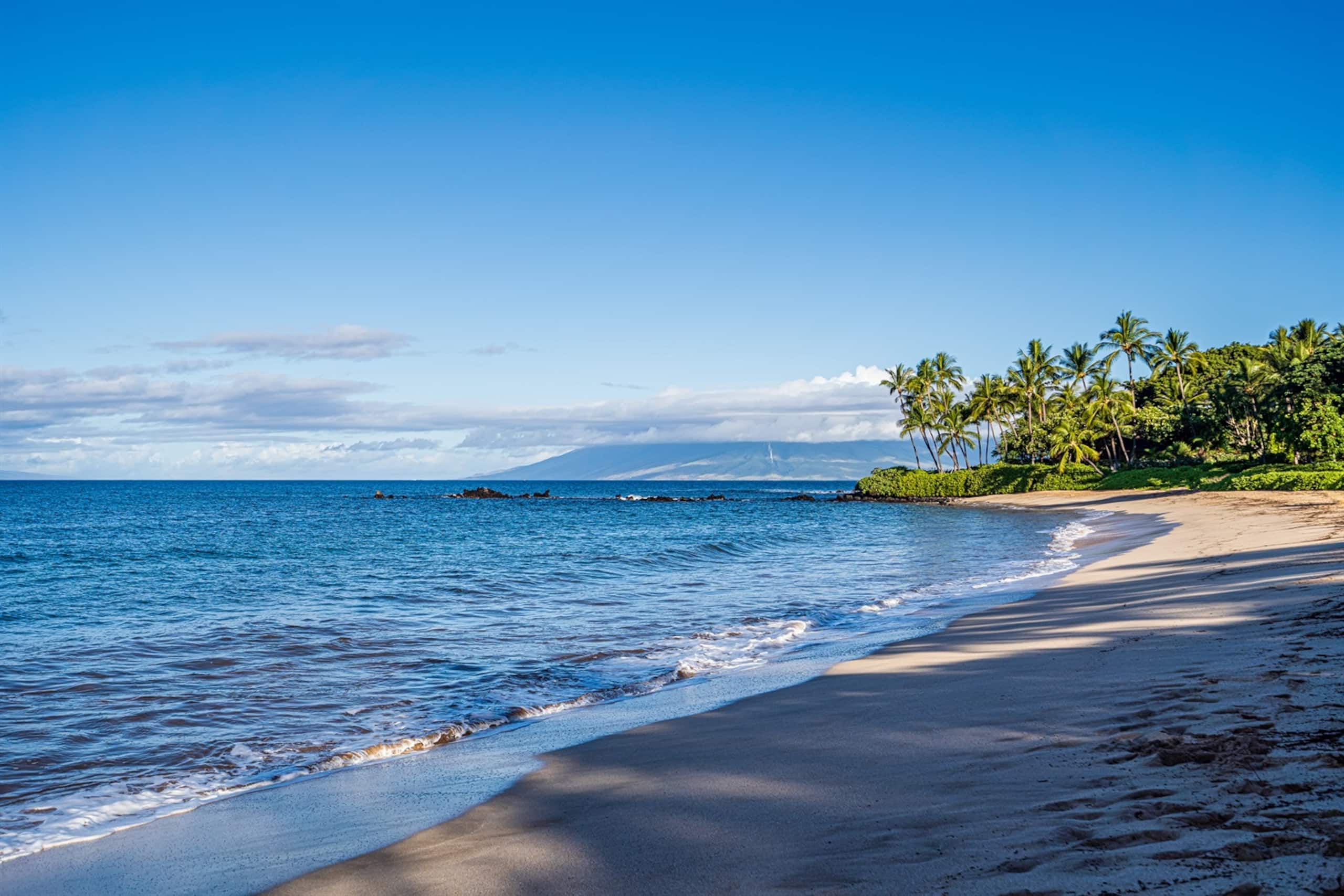 Condo in Wailea · ★4.94 · 1 bedroom · 1 bed · 1 bath - Image 43