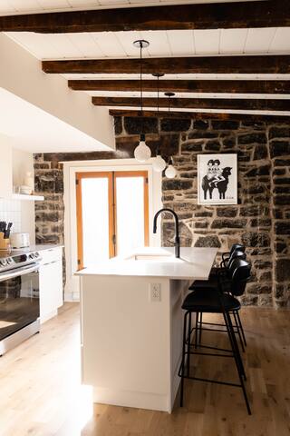 Luxury Apartment Old Montreal Pl. Royale View 401 gallery image 5