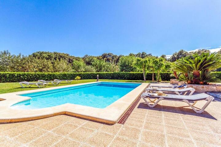 Rei Petit gallery image 2